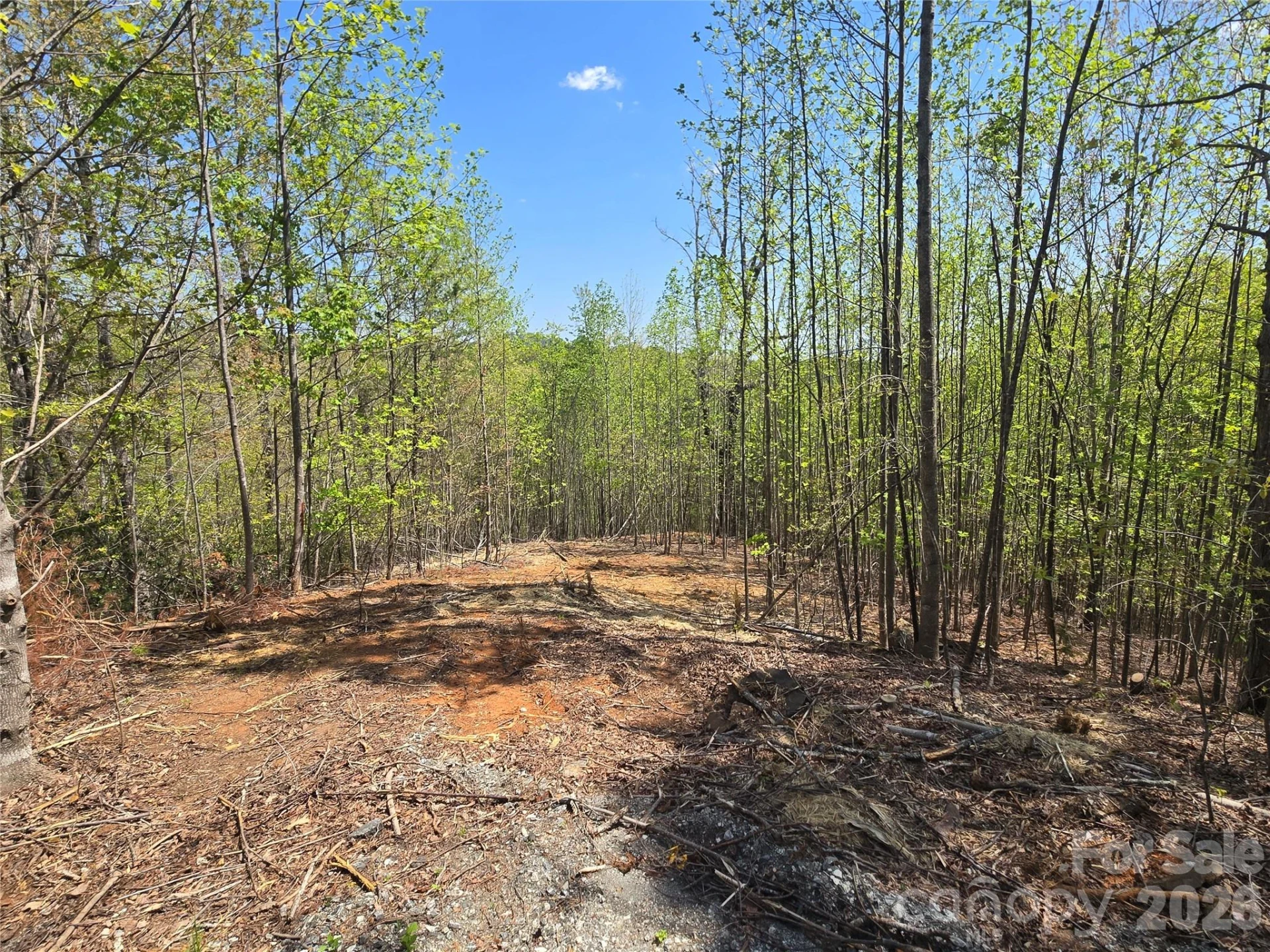 Lot 17 Touch Me Not Trail - Photo 2