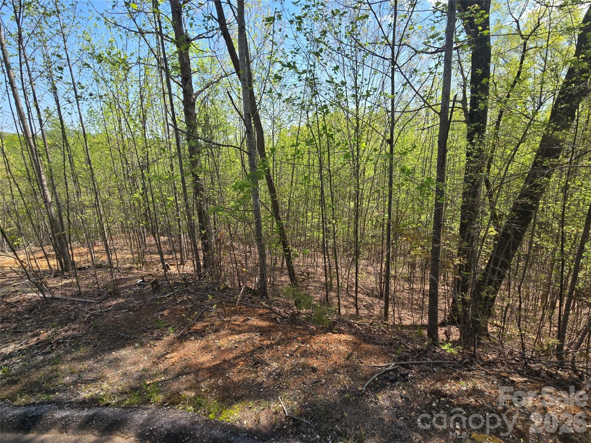 Lot 17 Touch Me Not Trail - Photo 5