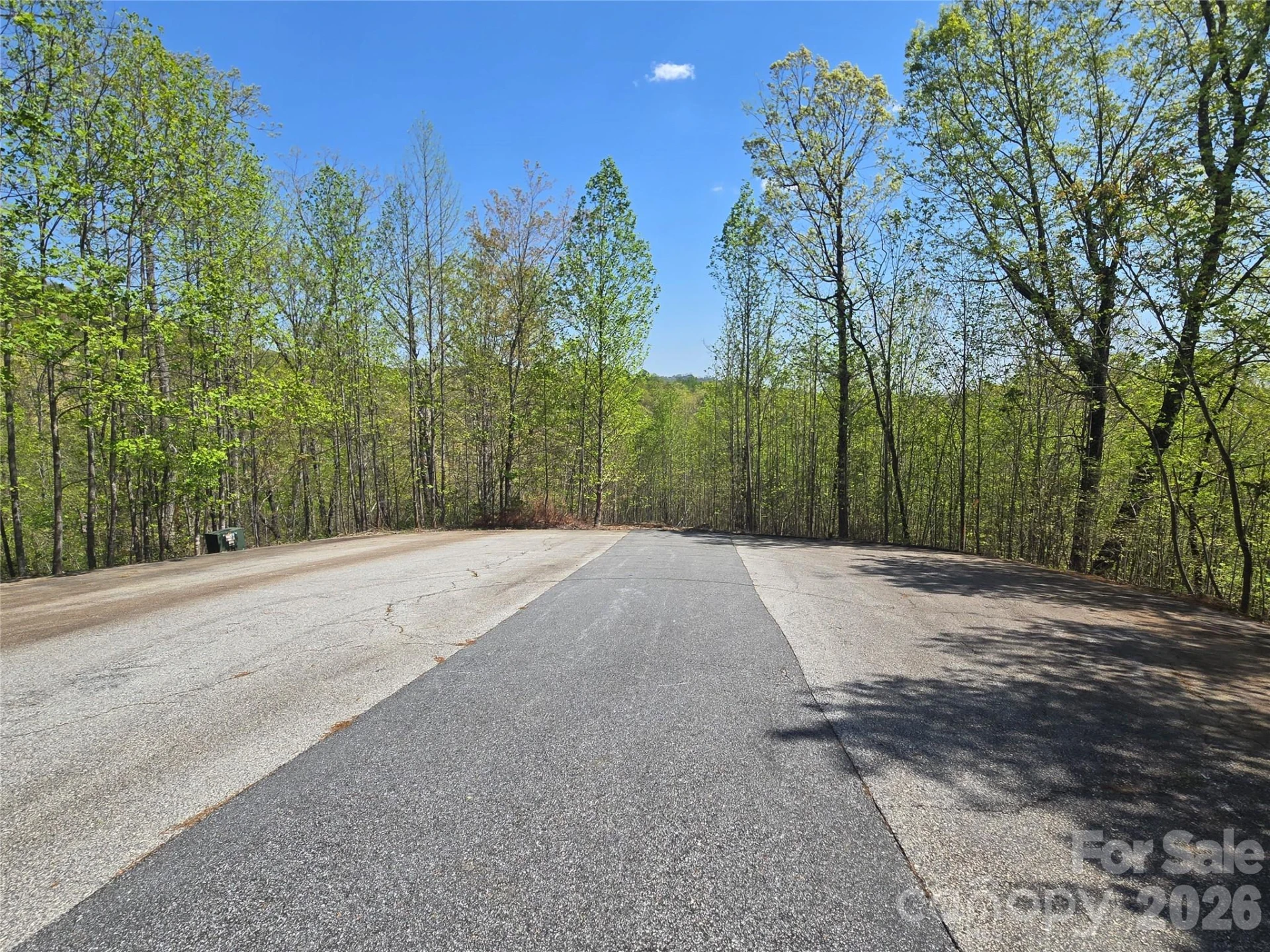 Lot 17 Touch Me Not Trail - Photo 7