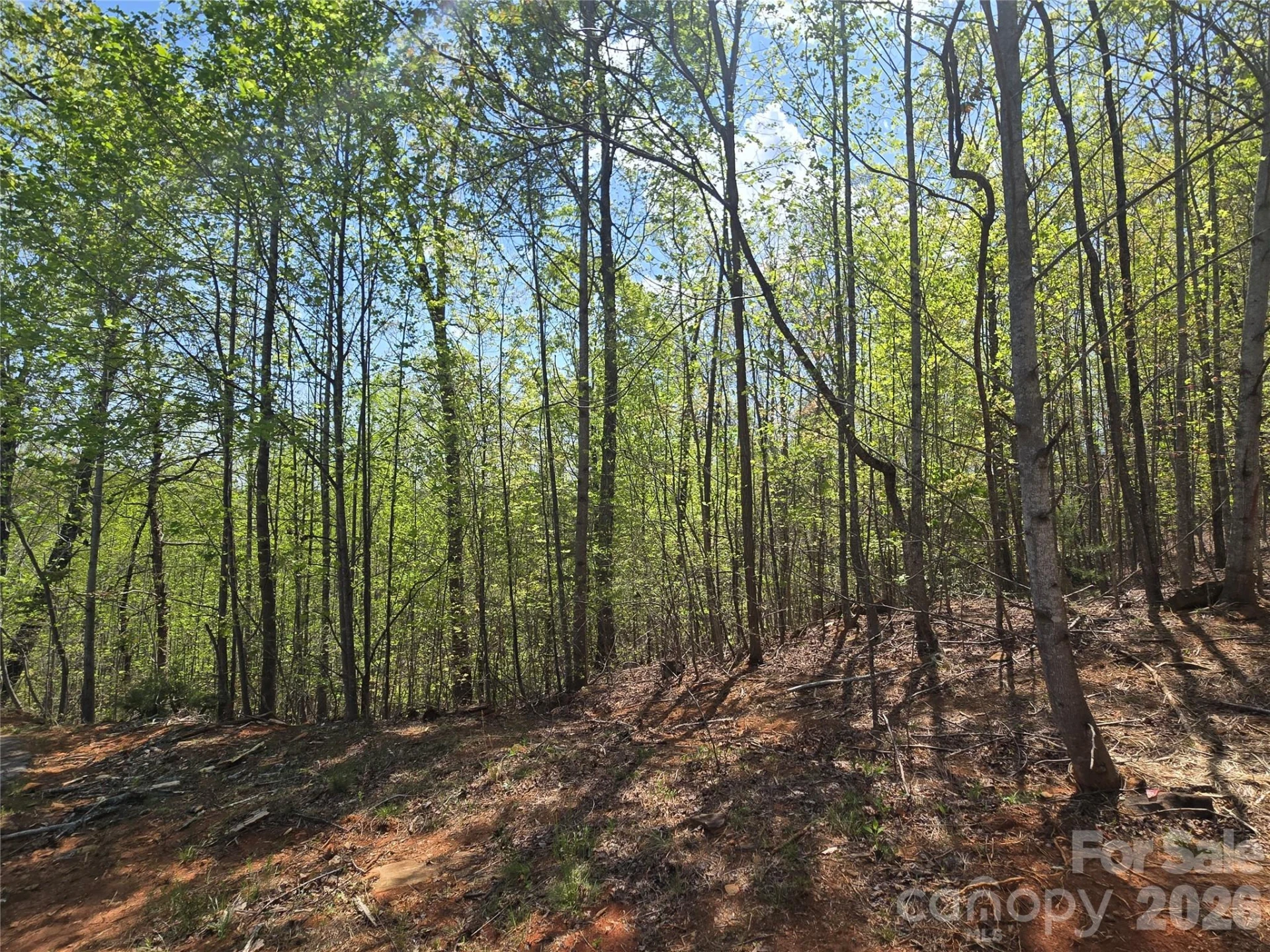 Lot 20 Touch Me Not Trail