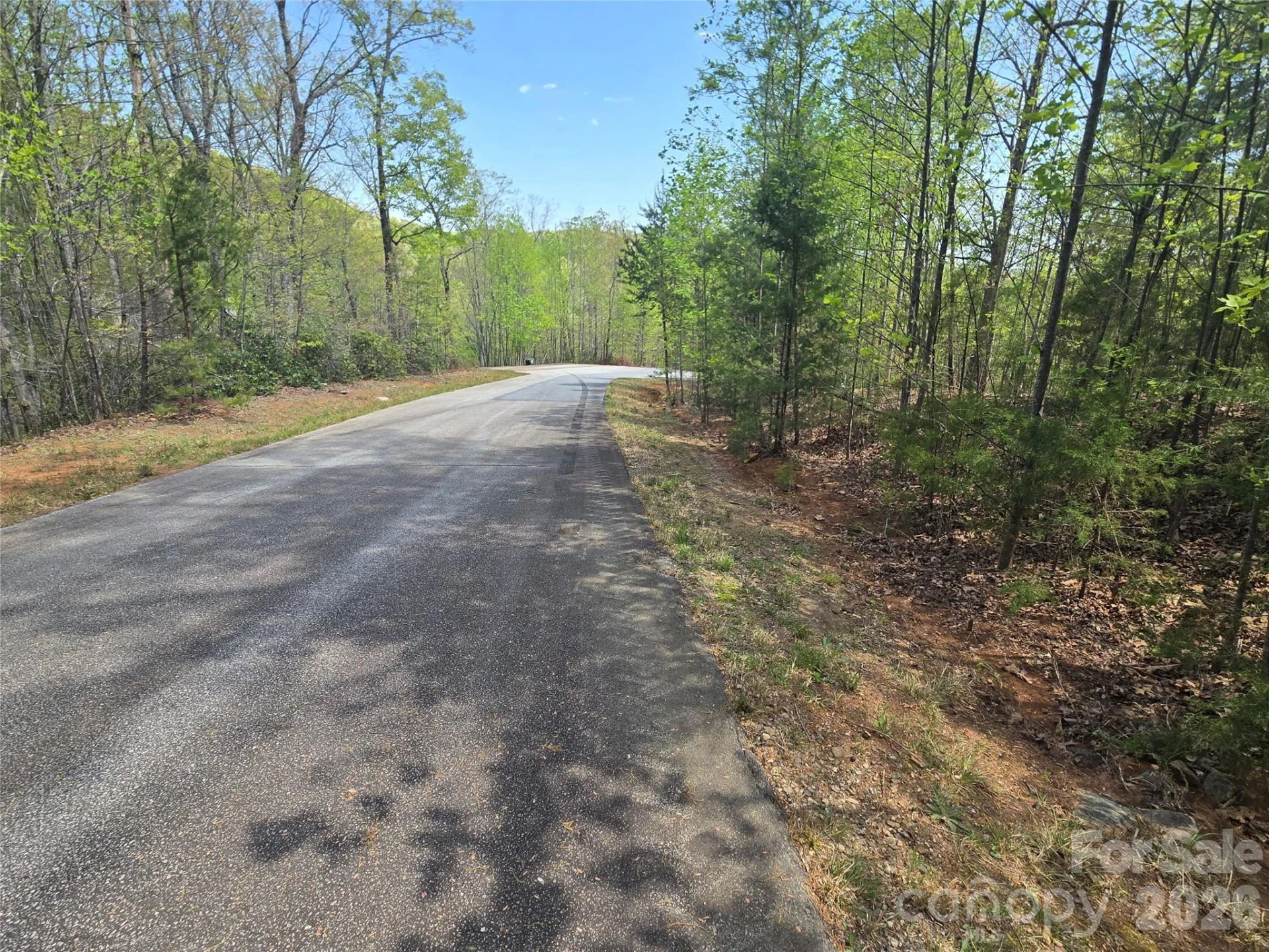 Lot 20 Touch Me Not Trail - Photo 5