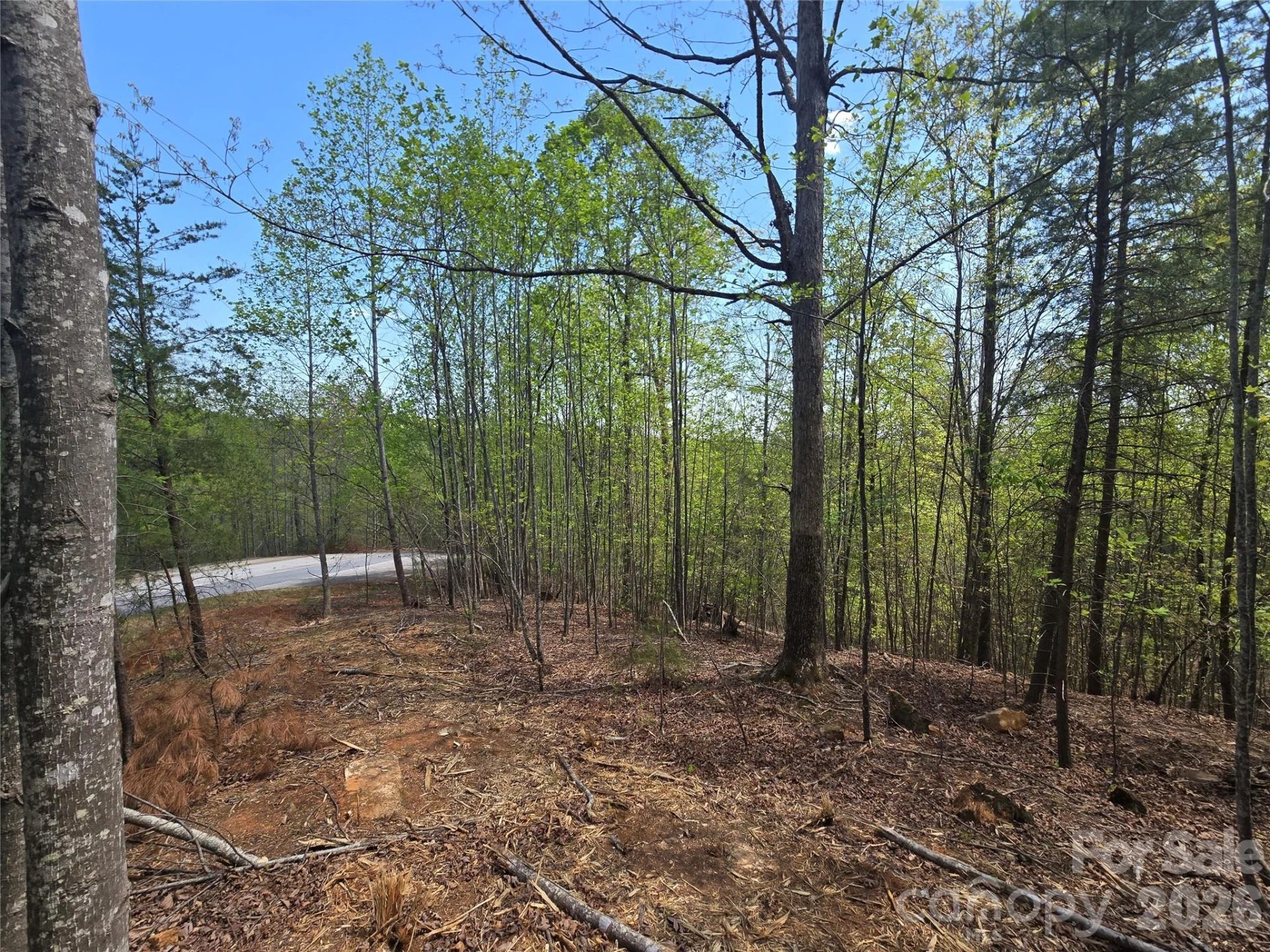 Lot 20 Touch Me Not Trail - Photo 8