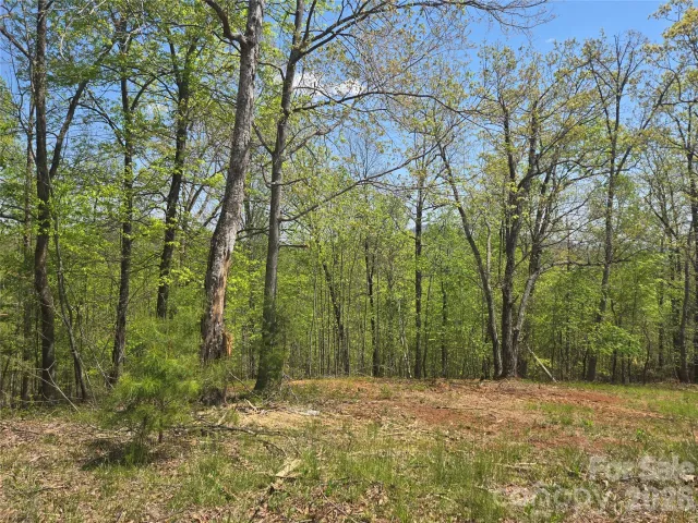 Lot 23 High Rock Ridge
