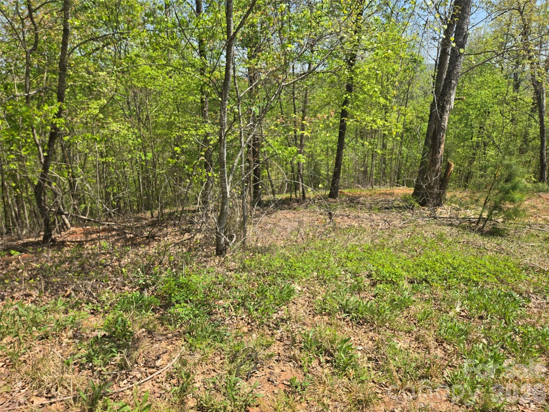 Lot 23 High Rock Ridge - Photo 5