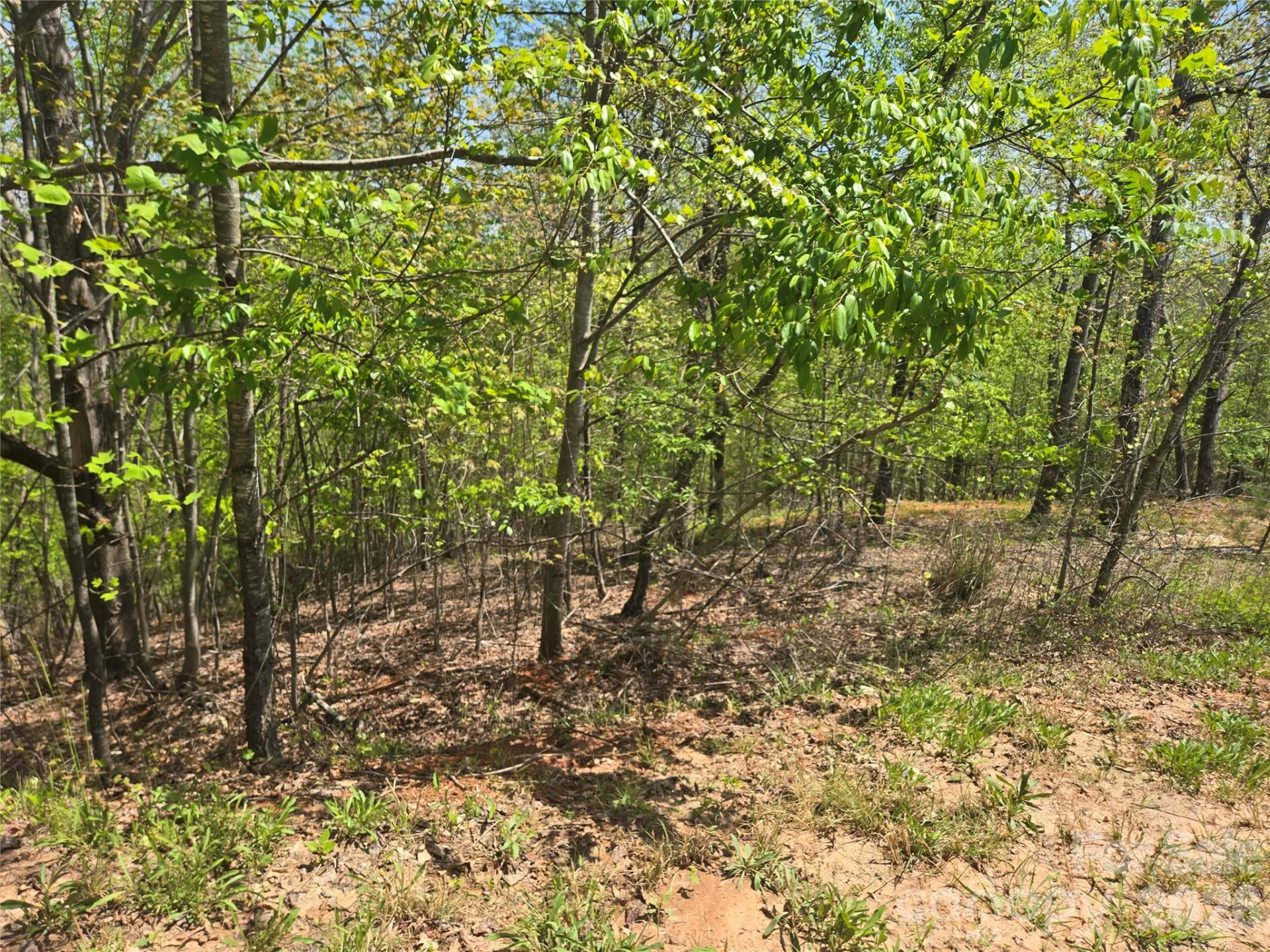 Lot 23 High Rock Ridge - Photo 6
