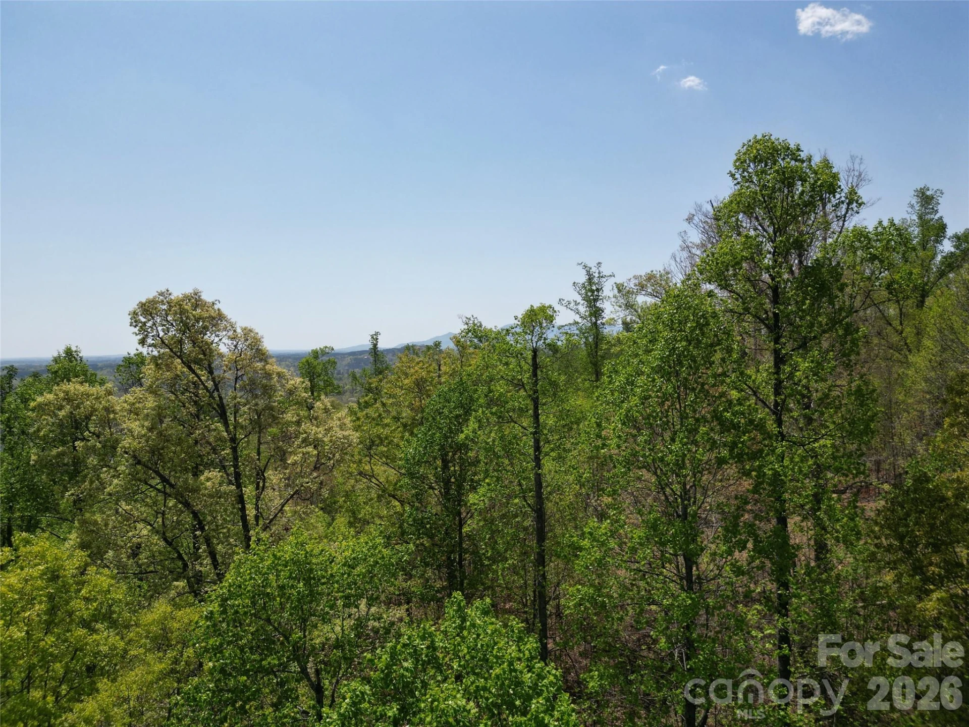 Lot 23 High Rock Ridge - Photo 8