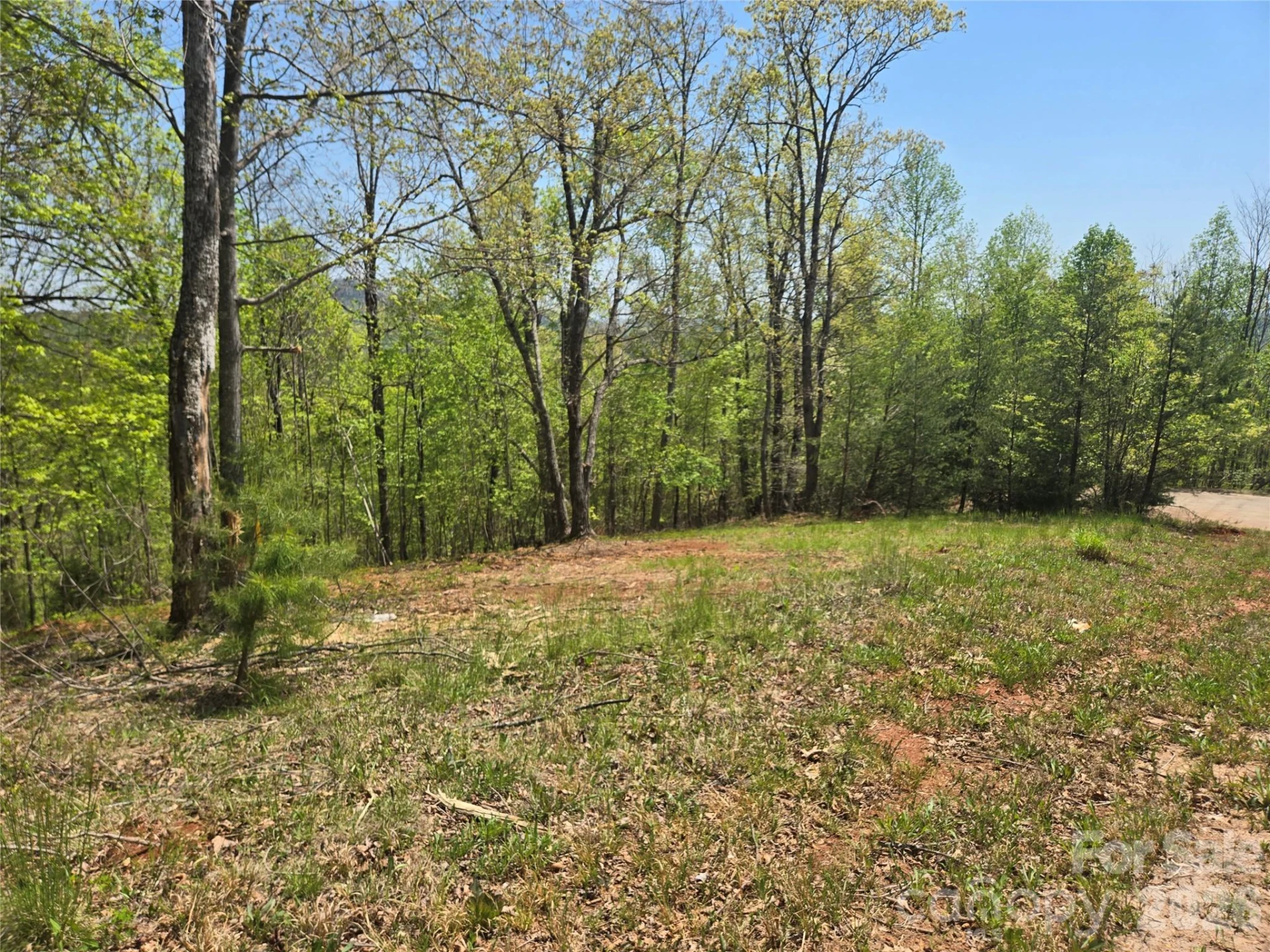 Lot 23 High Rock Ridge - Photo 9