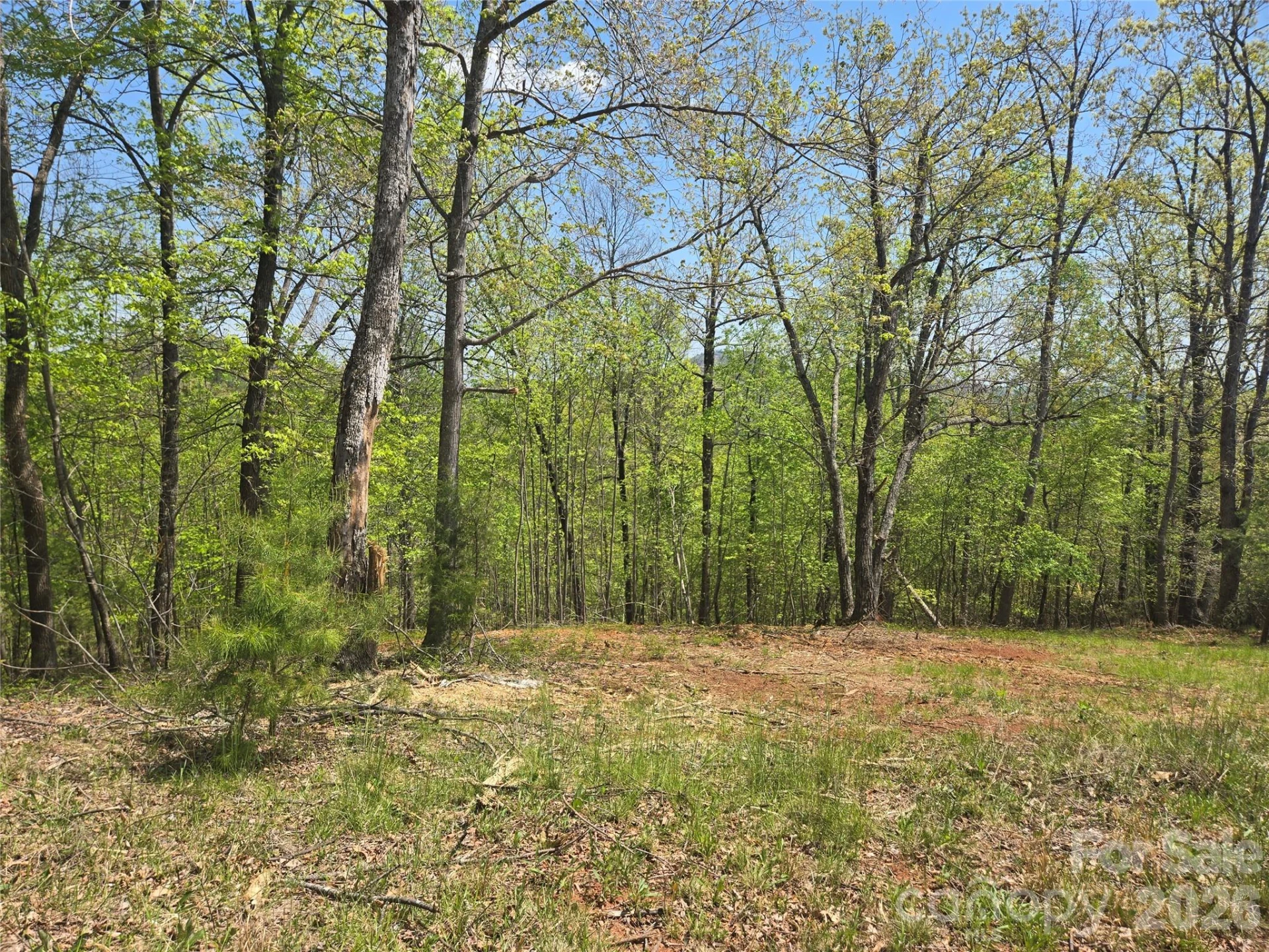Lot 23 High Rock Ridge - Photo 11