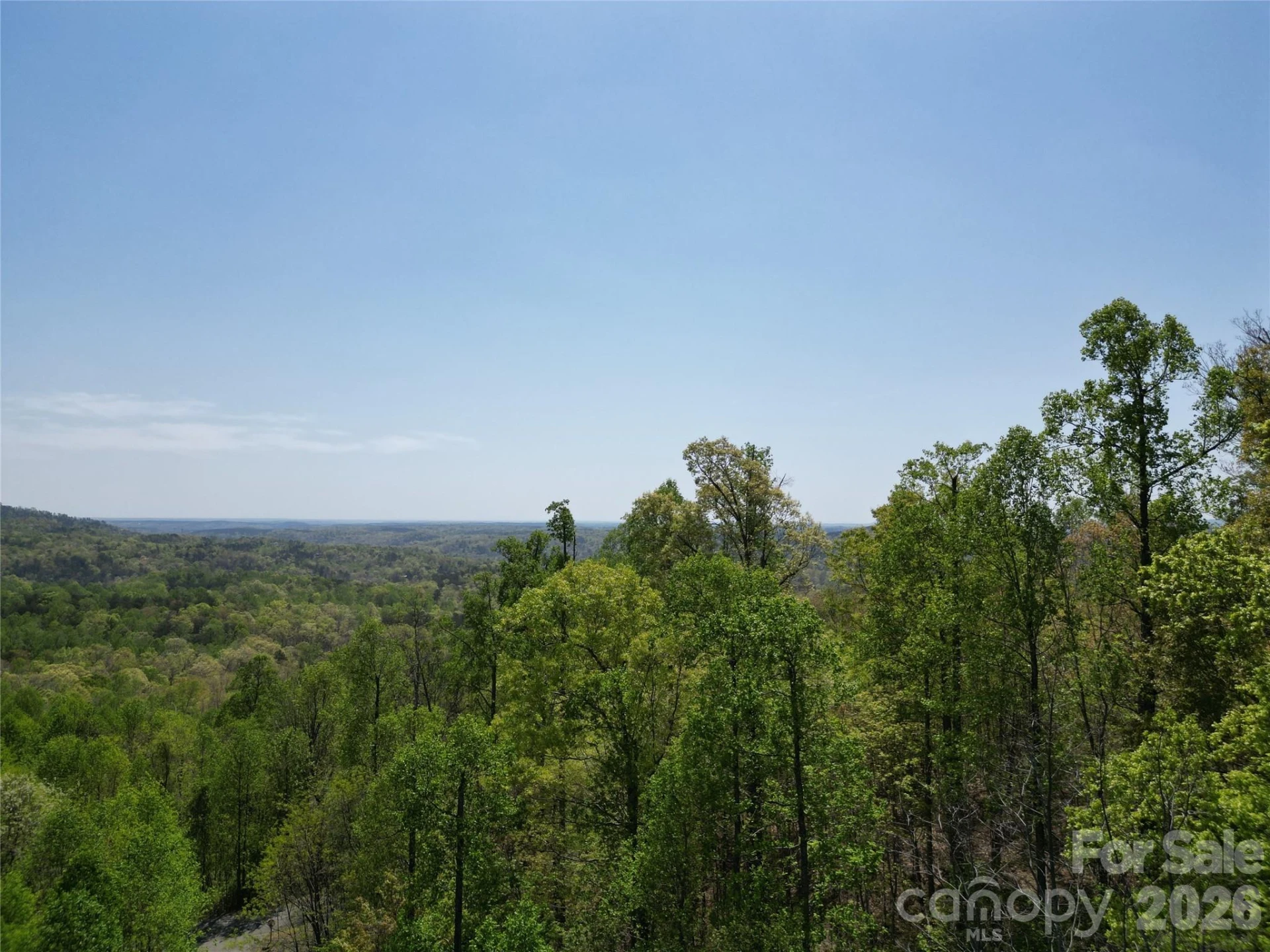 Lot 23 High Rock Ridge - Photo 12
