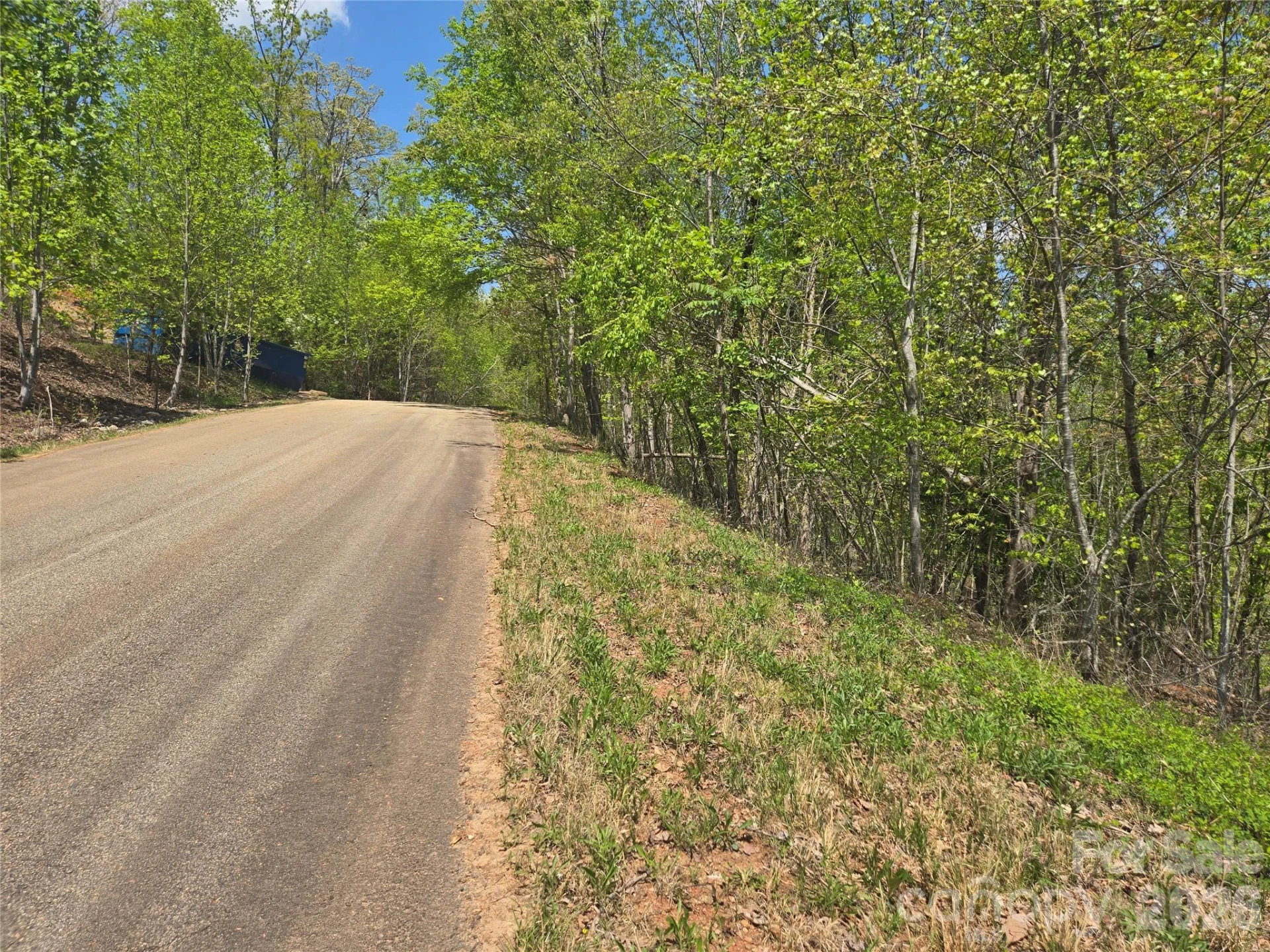 Lot 23 High Rock Ridge - Photo 13