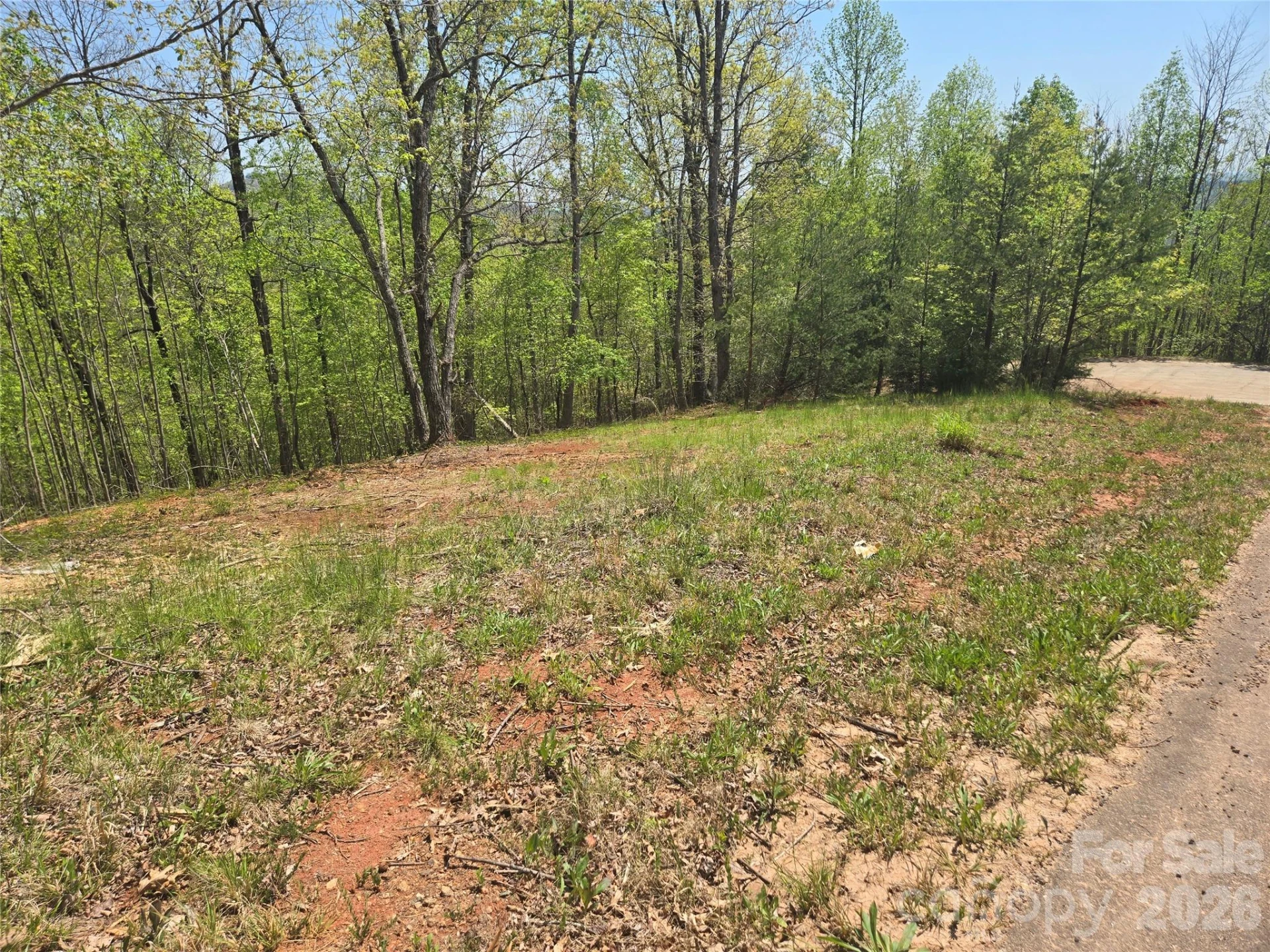 Lot 23 High Rock Ridge - Photo 14
