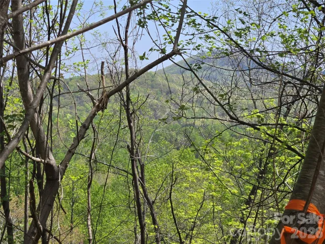 Lot 24 High Rock Ridge