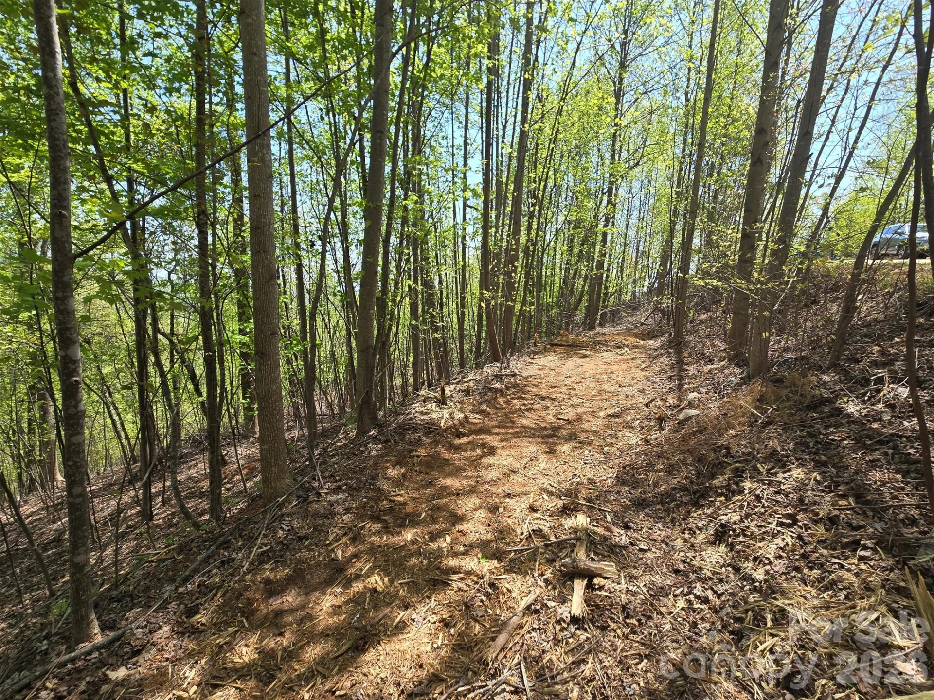 Lot 24 High Rock Ridge - Photo 3