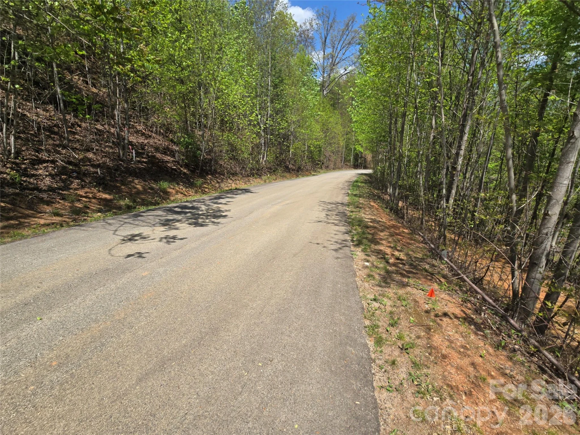 Lot 24 High Rock Ridge - Photo 4
