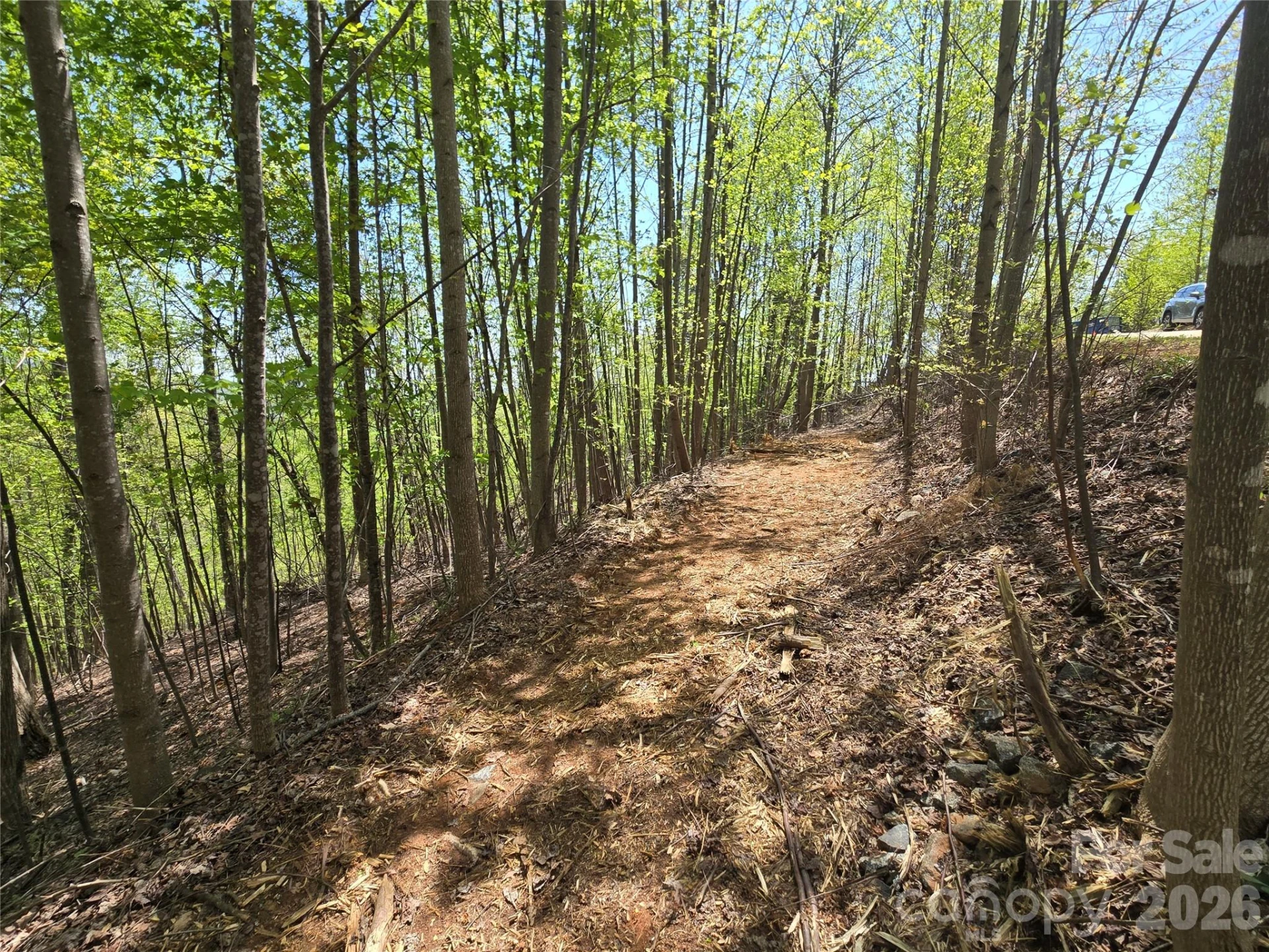 Lot 24 High Rock Ridge - Photo 6