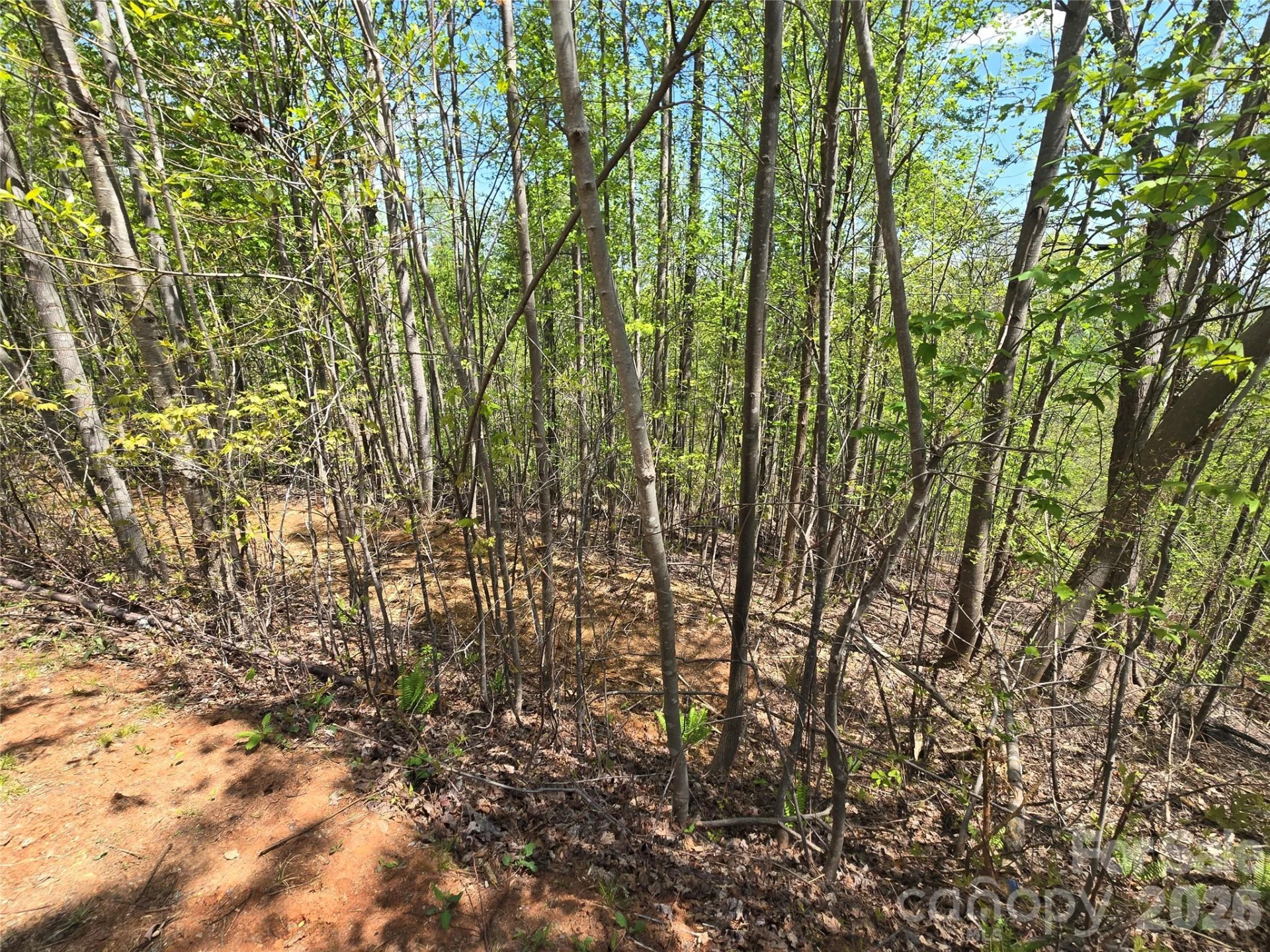 Lot 24 High Rock Ridge - Photo 7