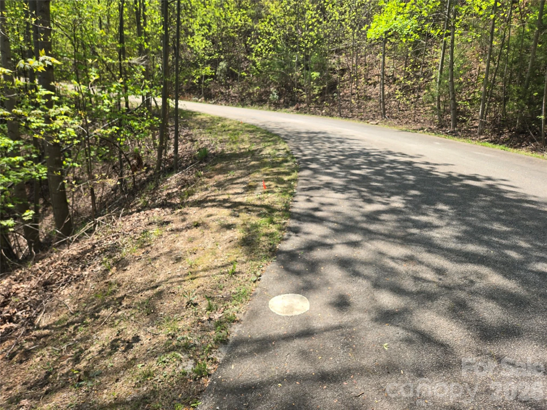 Lot 25 High Rock Ridge - Photo 4