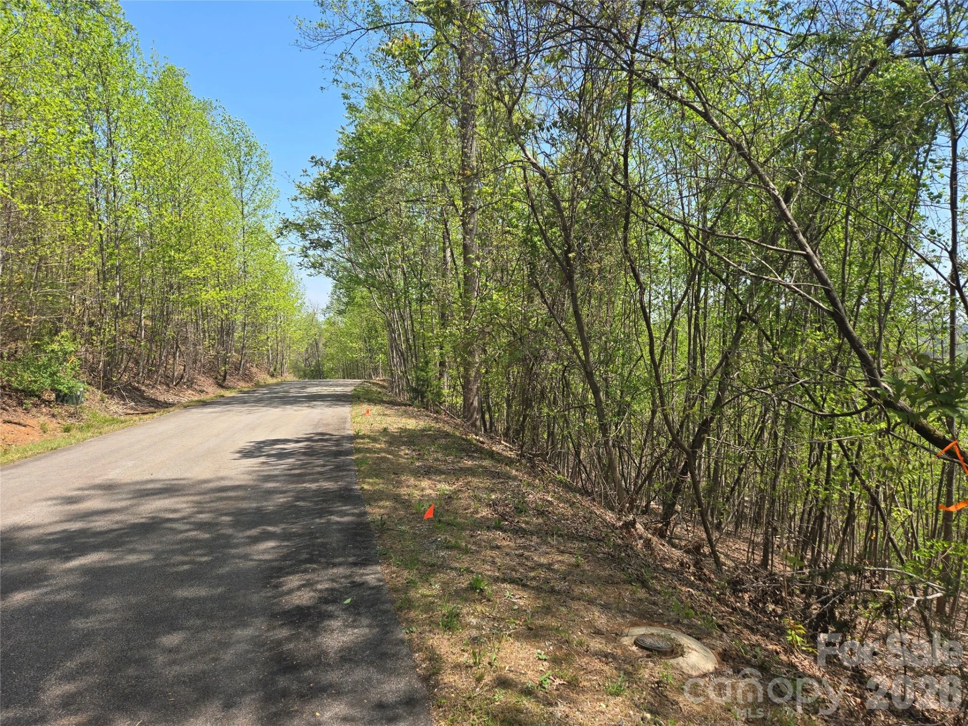 Lot 25 High Rock Ridge - Photo 5