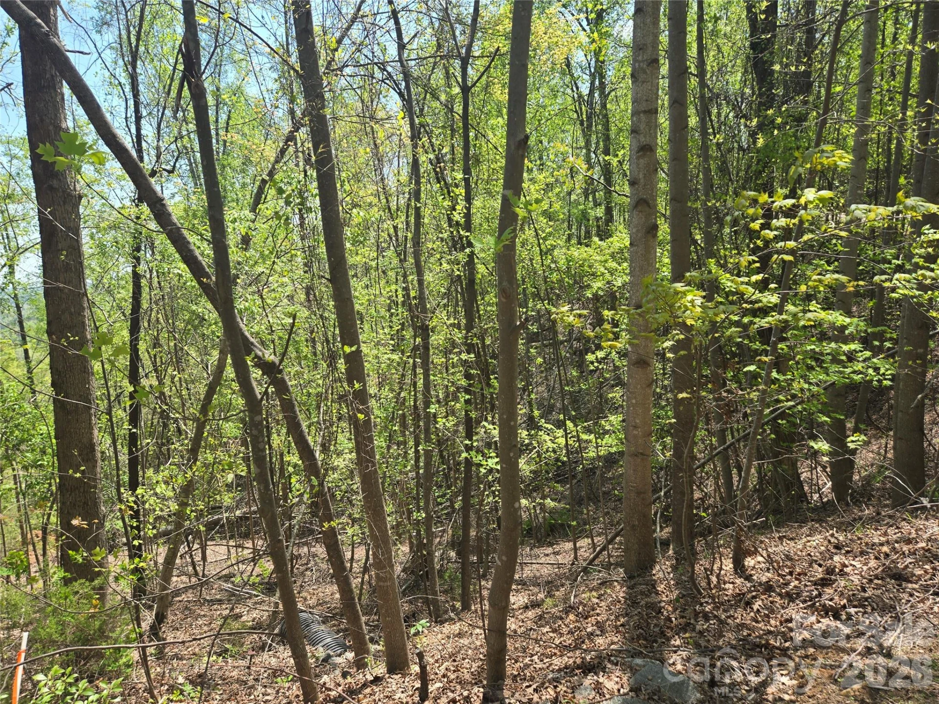 Lot 25 High Rock Ridge - Photo 7