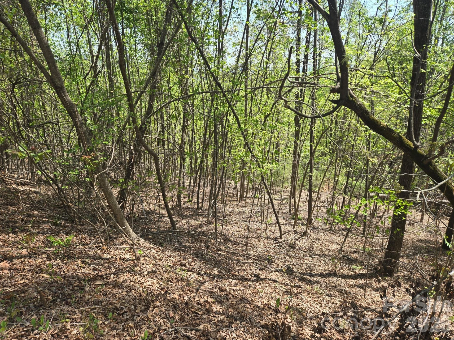Lot 25 High Rock Ridge - Photo 8