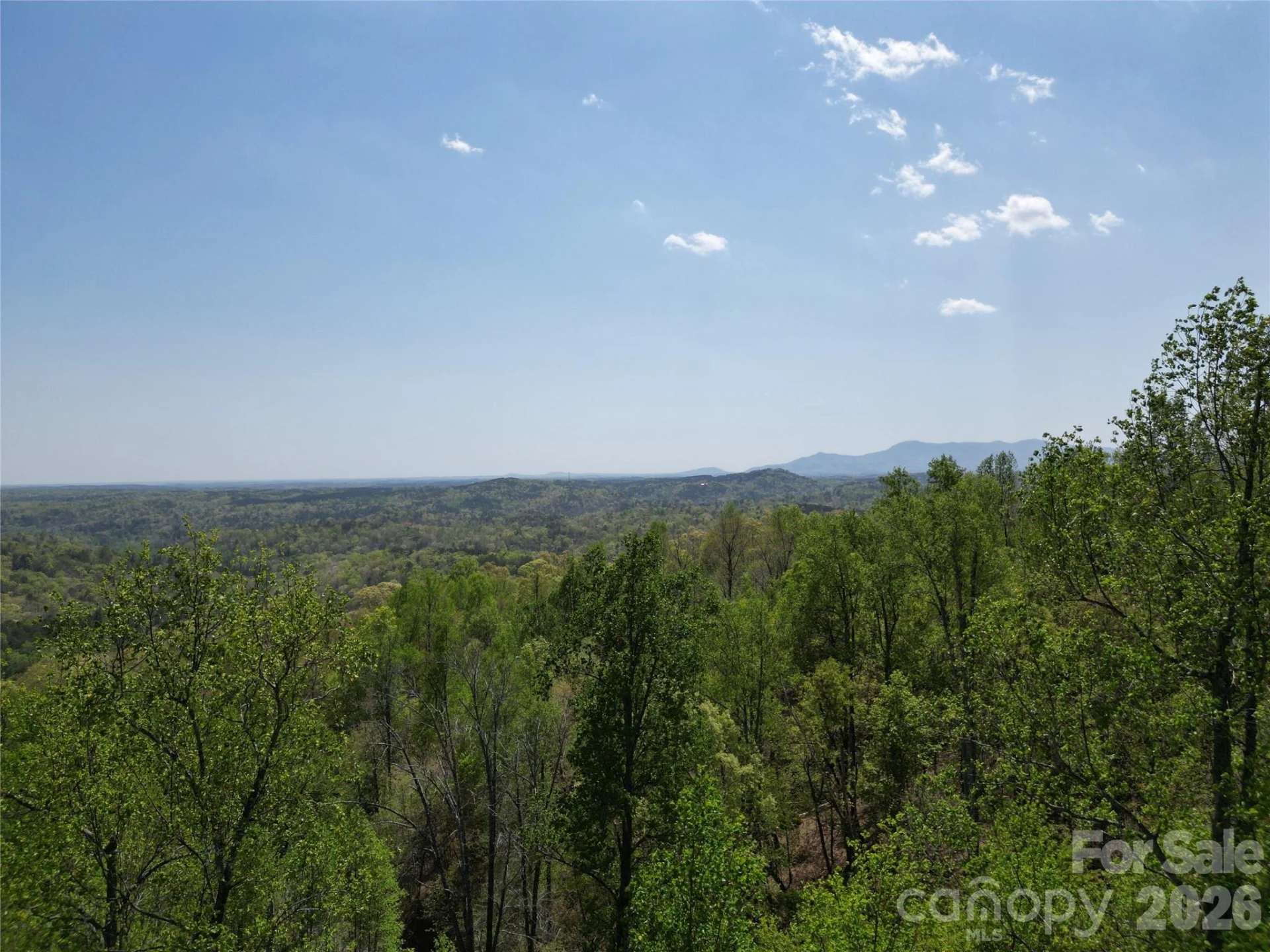 Lot 25 High Rock Ridge - Photo 9