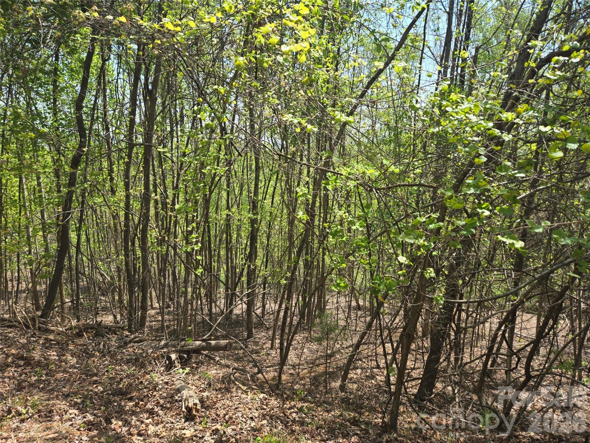 Lot 25 High Rock Ridge - Photo 10