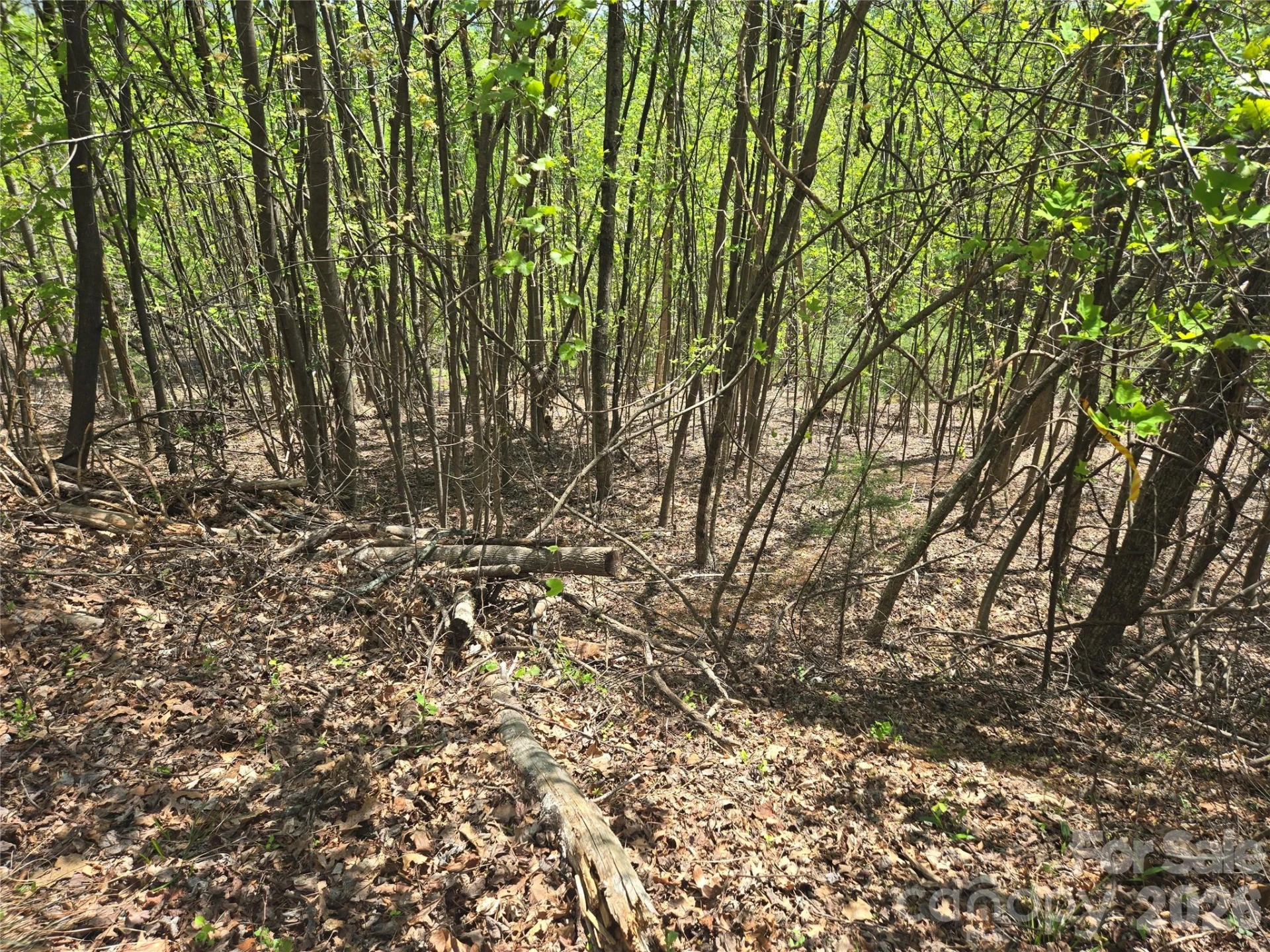 Lot 25 High Rock Ridge - Photo 11