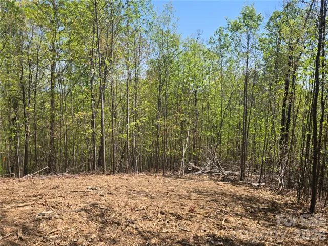 Lot 32 High Rock Ridge