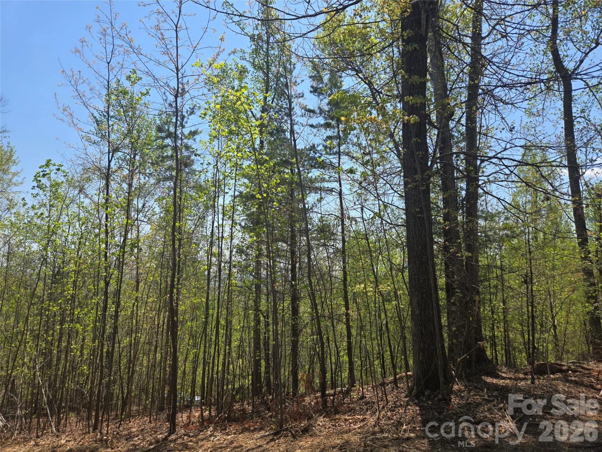 Lot 32 High Rock Ridge - Photo 2