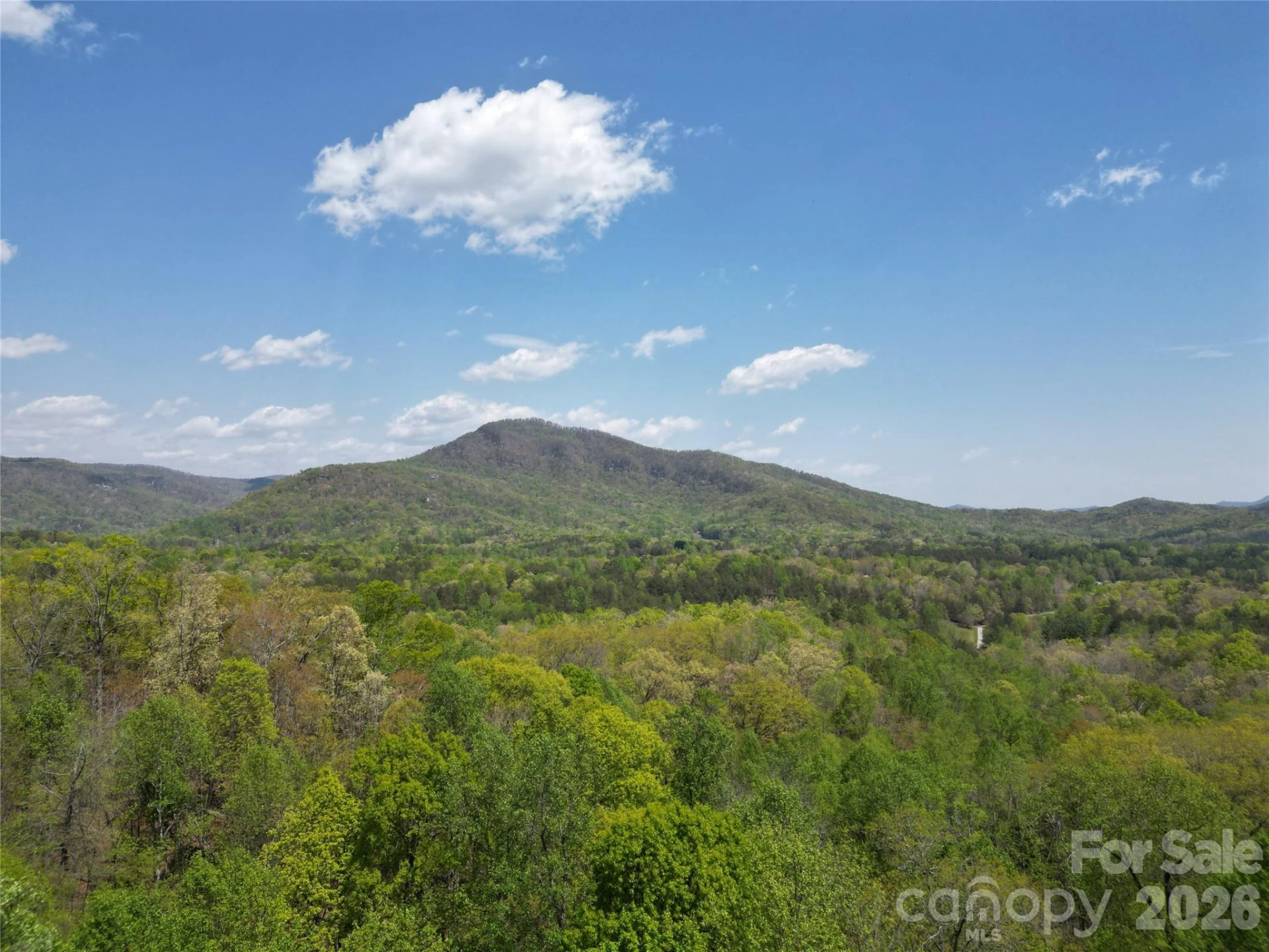 Lot 32 High Rock Ridge - Photo 3
