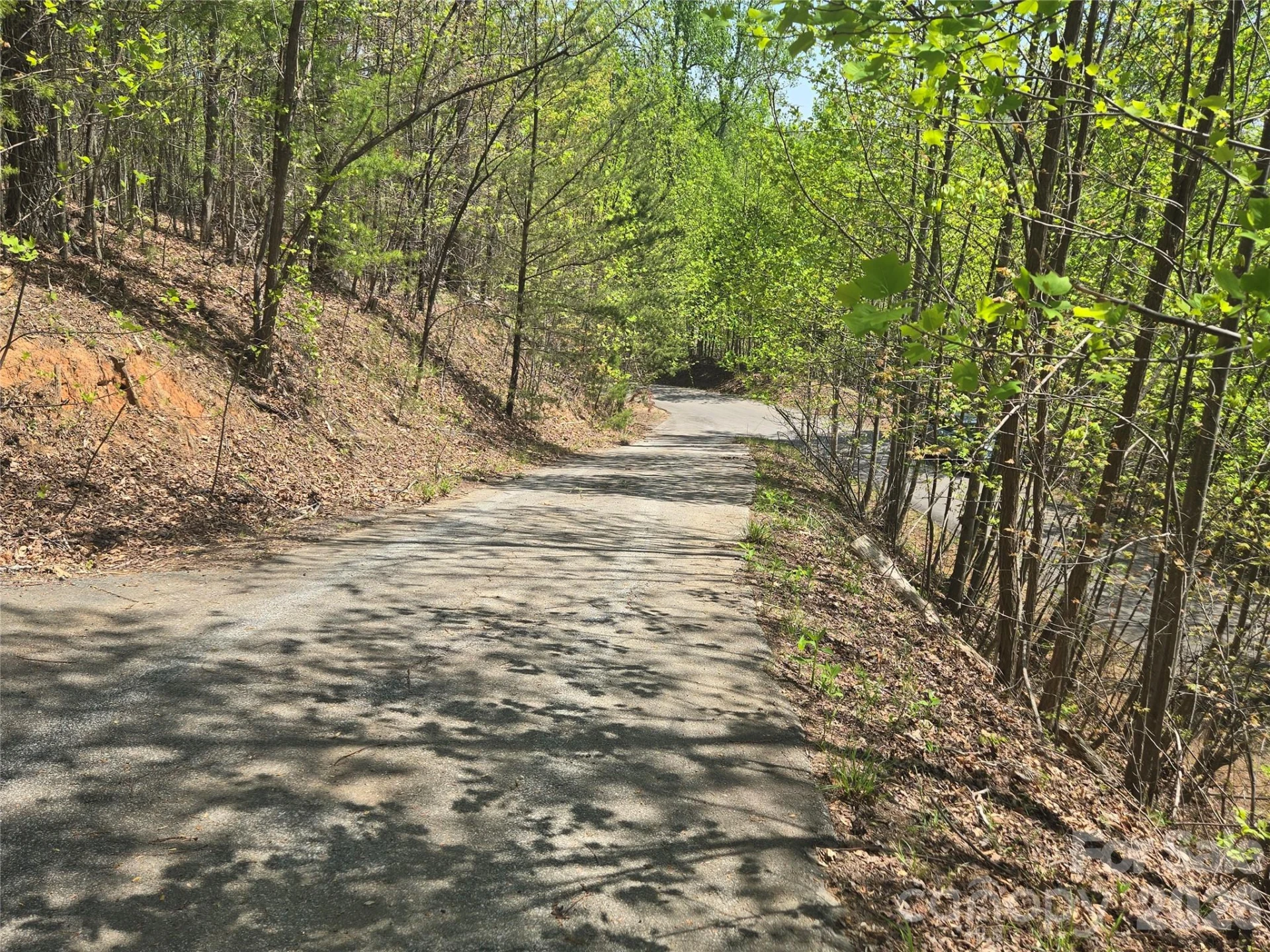Lot 32 High Rock Ridge - Photo 5