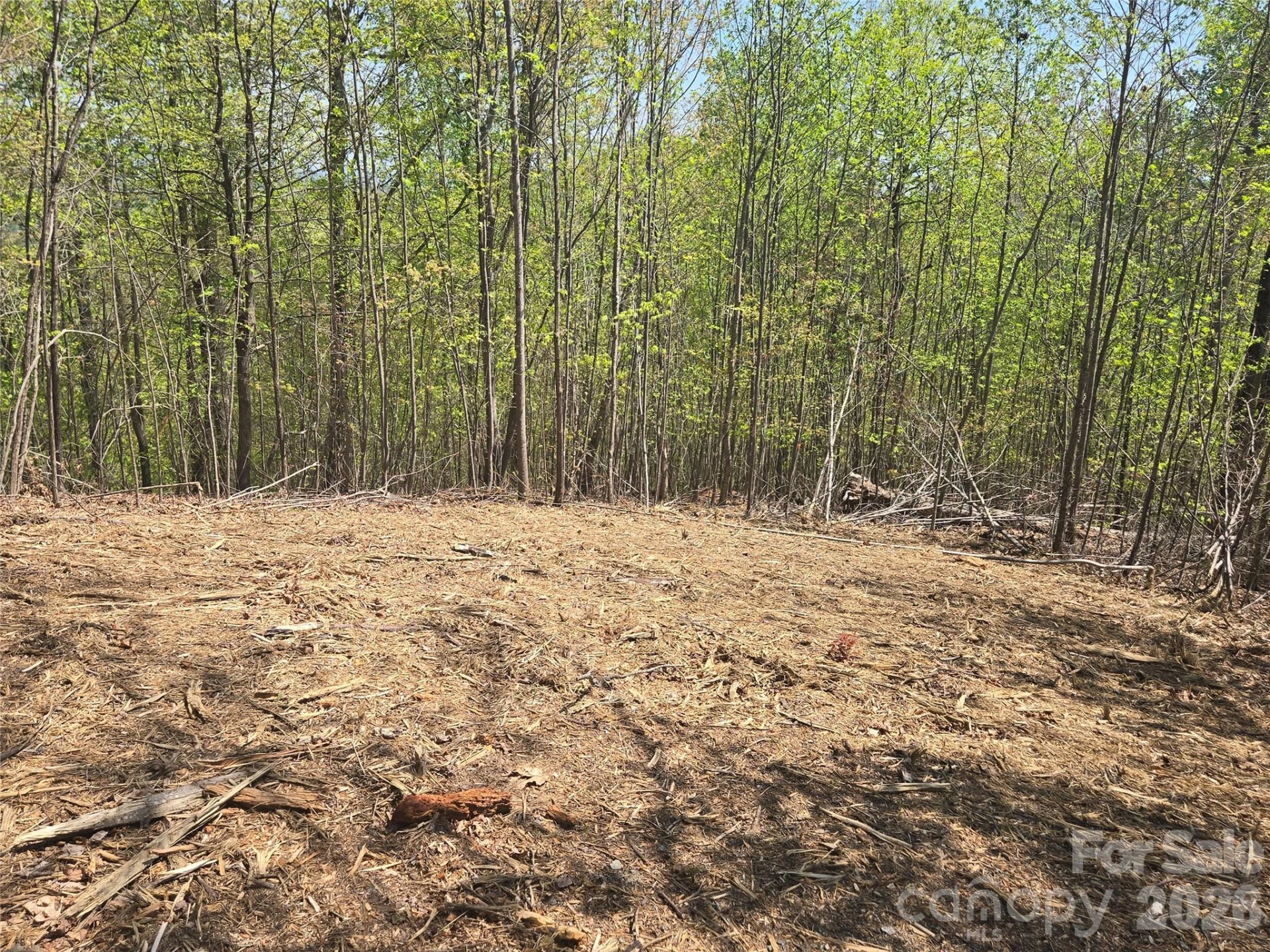 Lot 32 High Rock Ridge - Photo 8