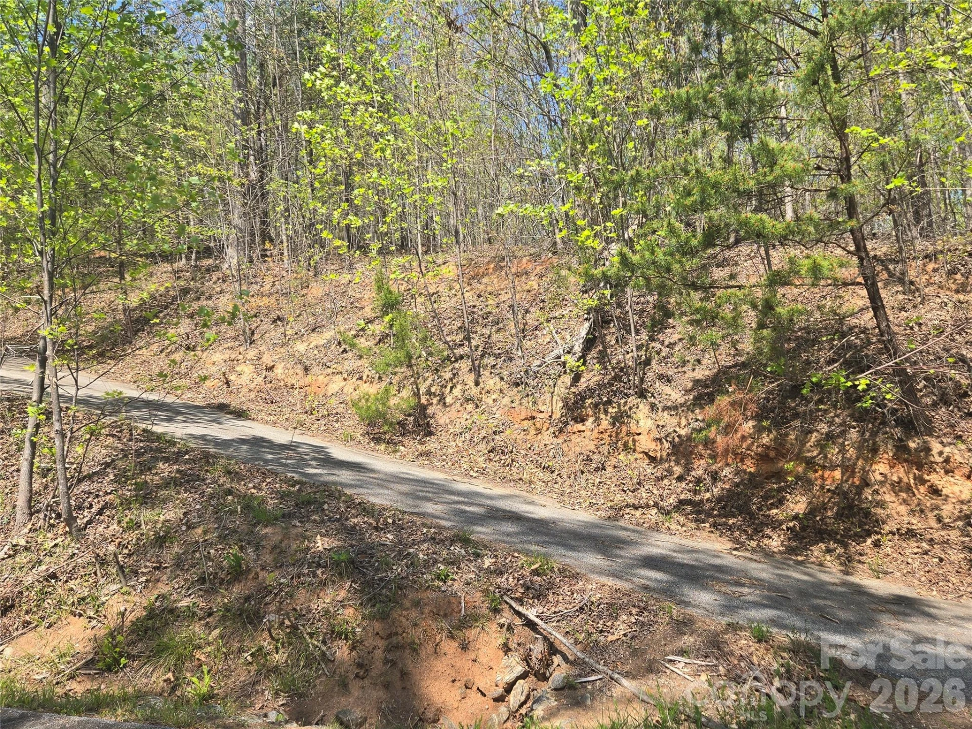 Lot 32 High Rock Ridge - Photo 9
