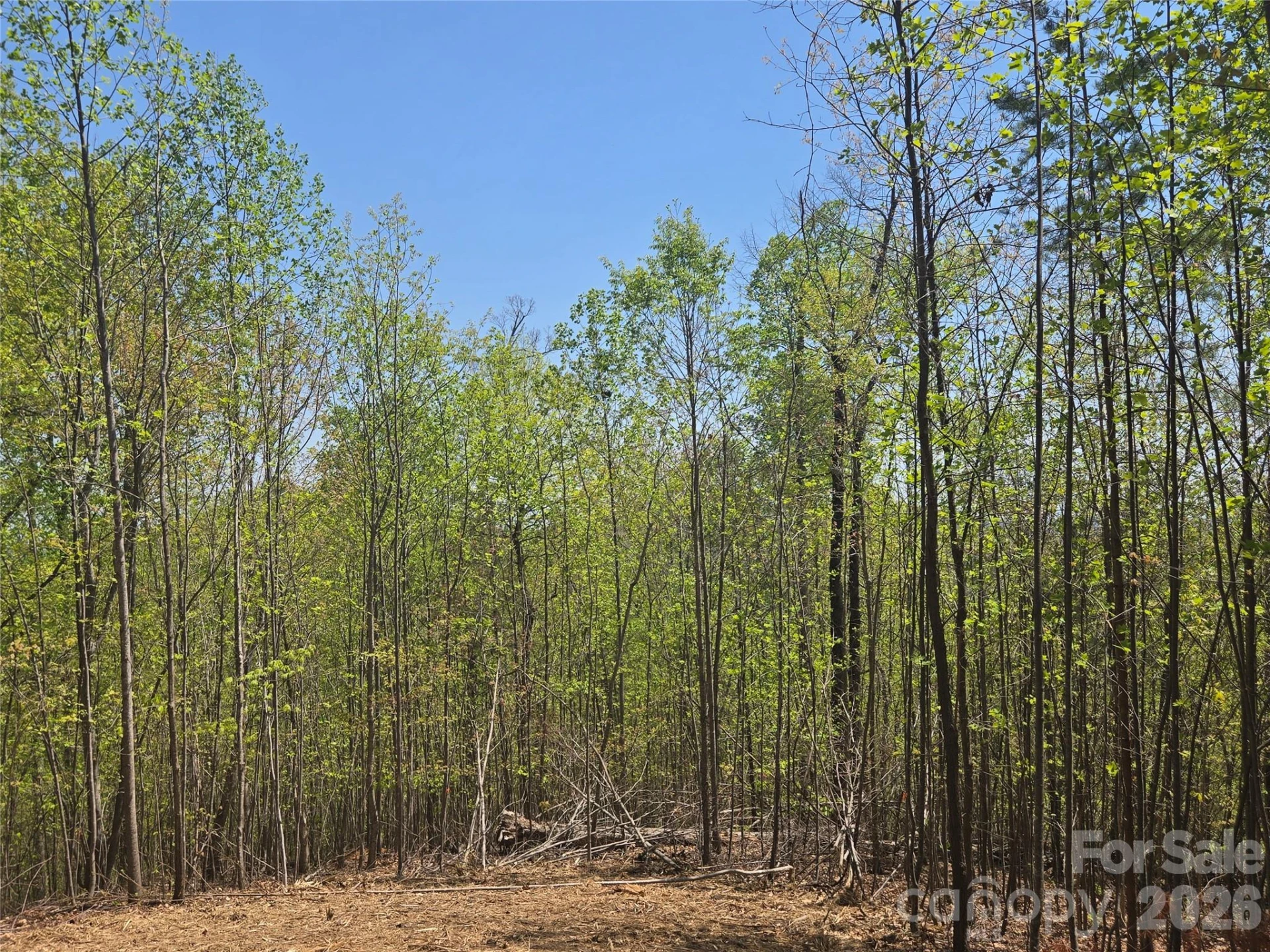 Lot 32 High Rock Ridge - Photo 11