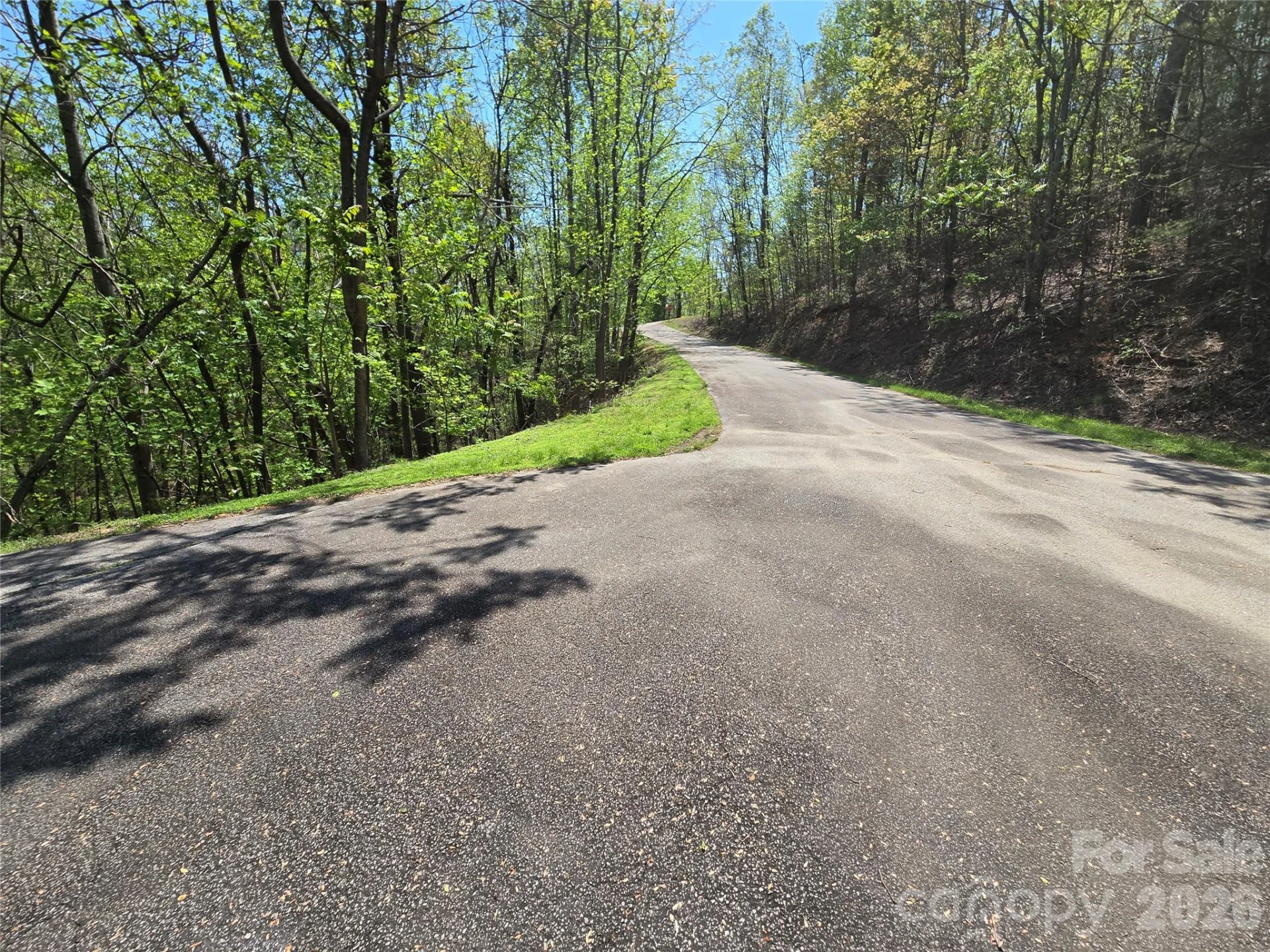 Lot 33 Turkey Fall Lane - Photo 4