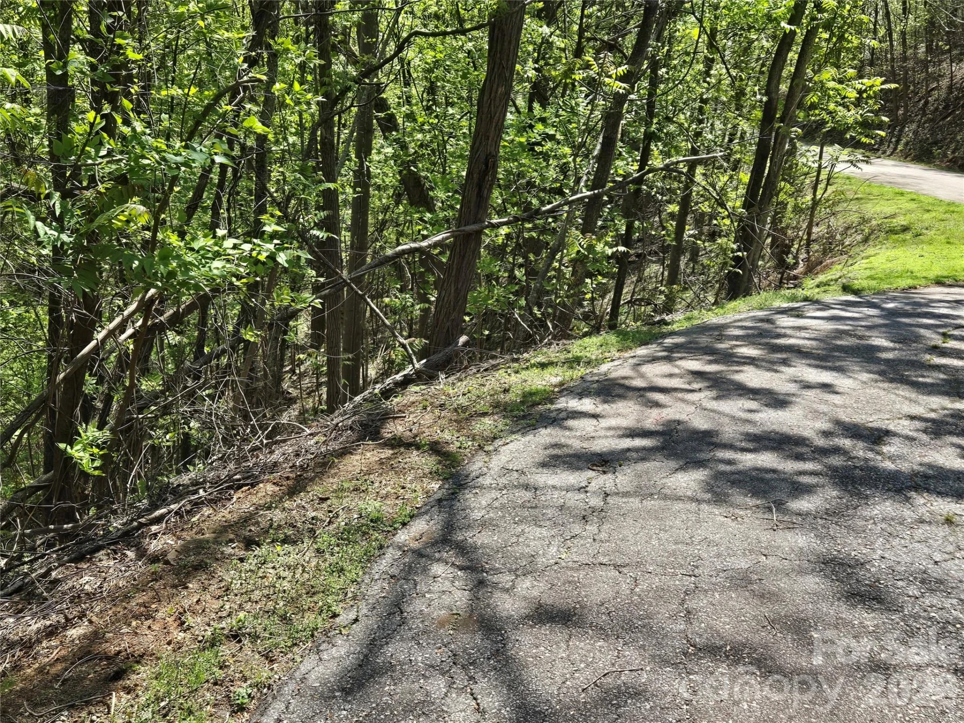Lot 33 Turkey Fall Lane - Photo 7