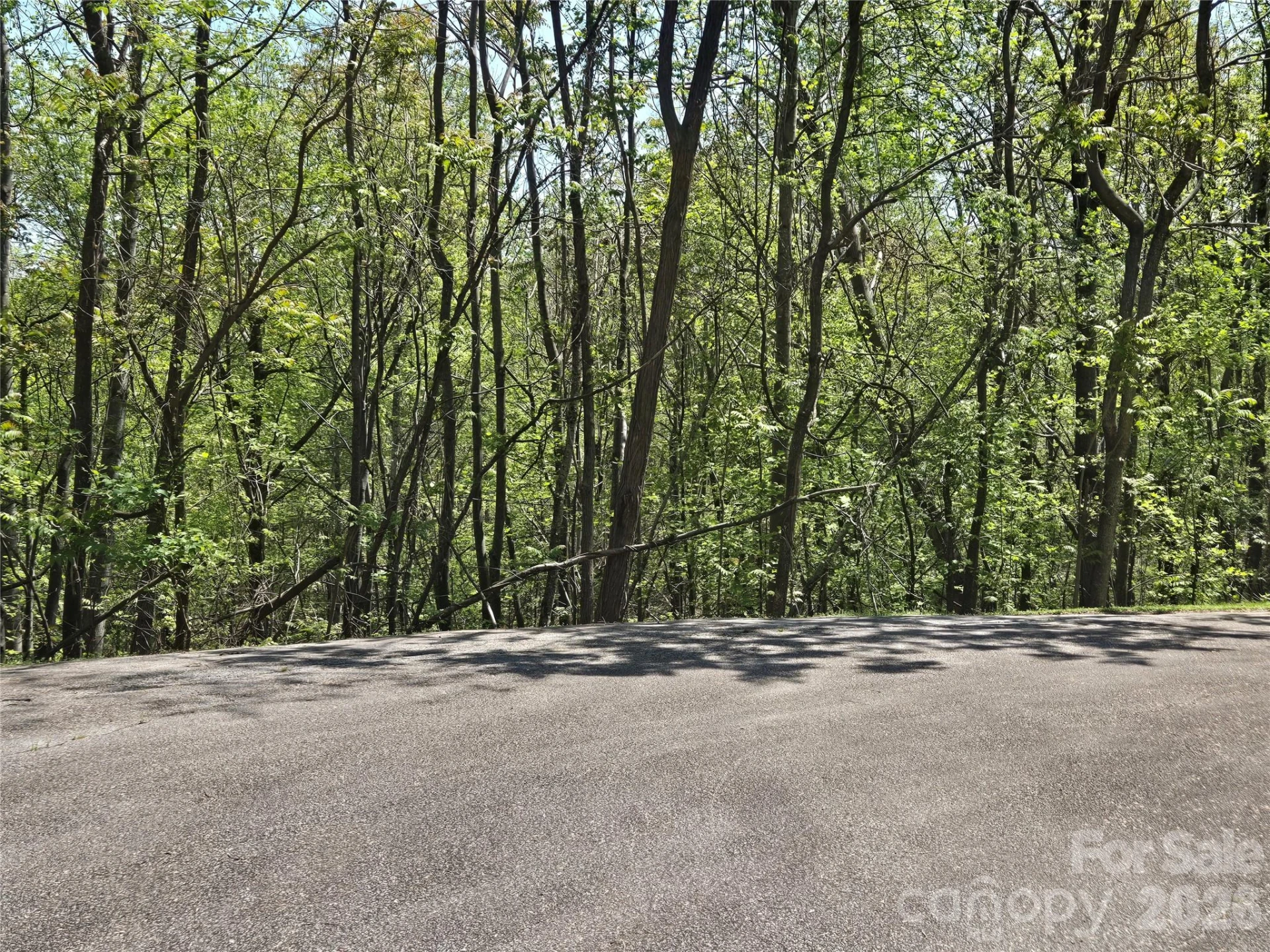Lot 33 Turkey Fall Lane - Photo 8