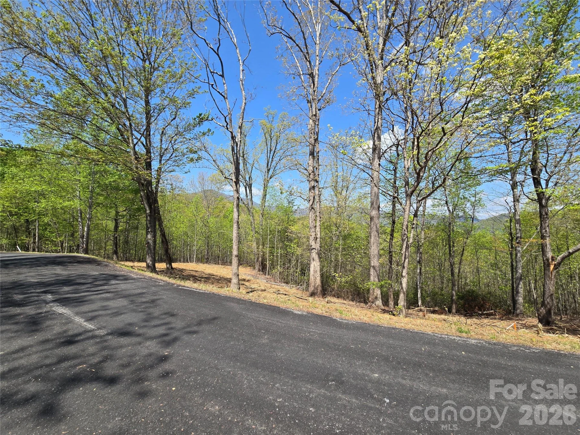 Lot 34 High Rock Ridge - Photo 5