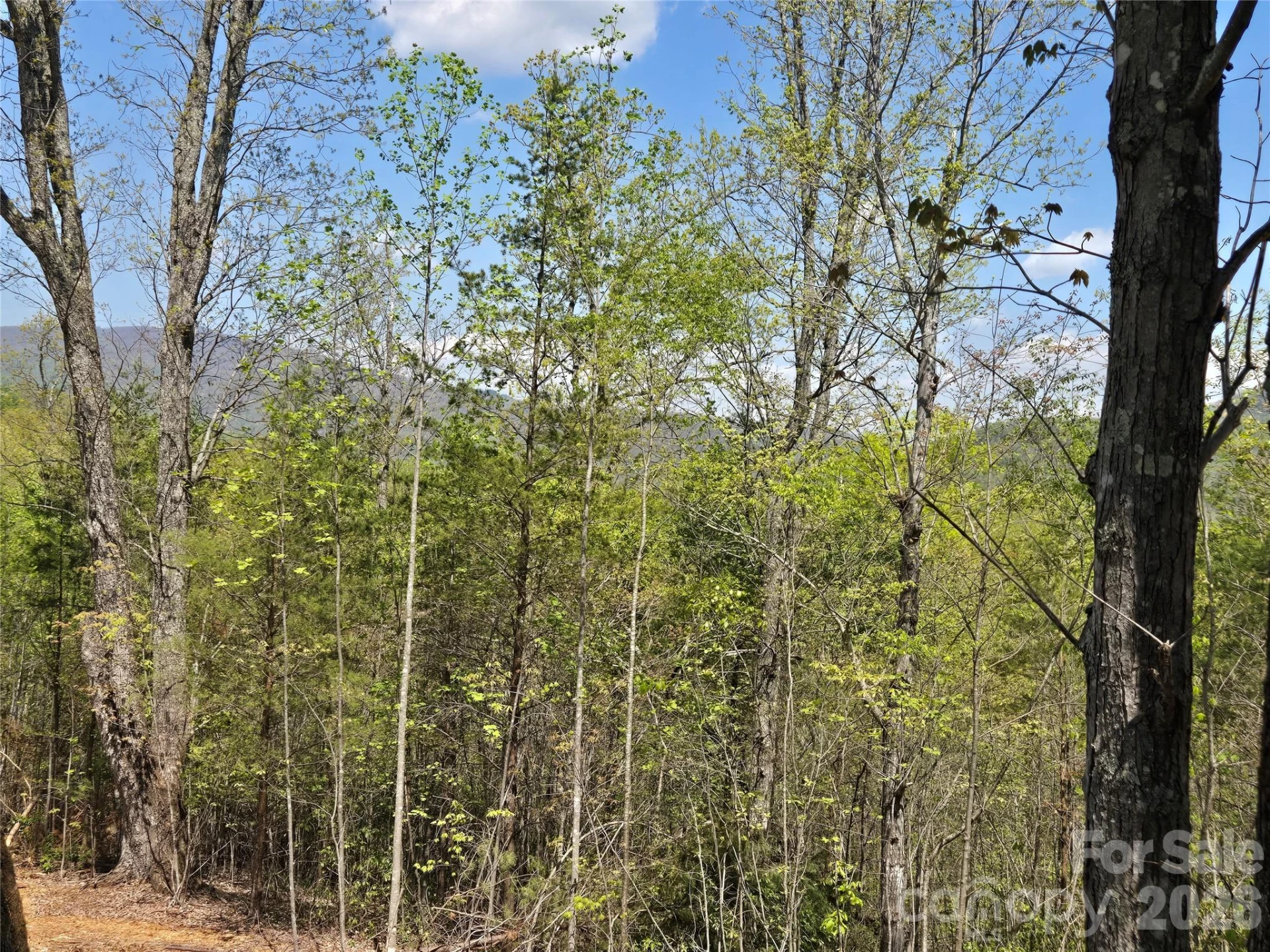 Lot 34 High Rock Ridge - Photo 8