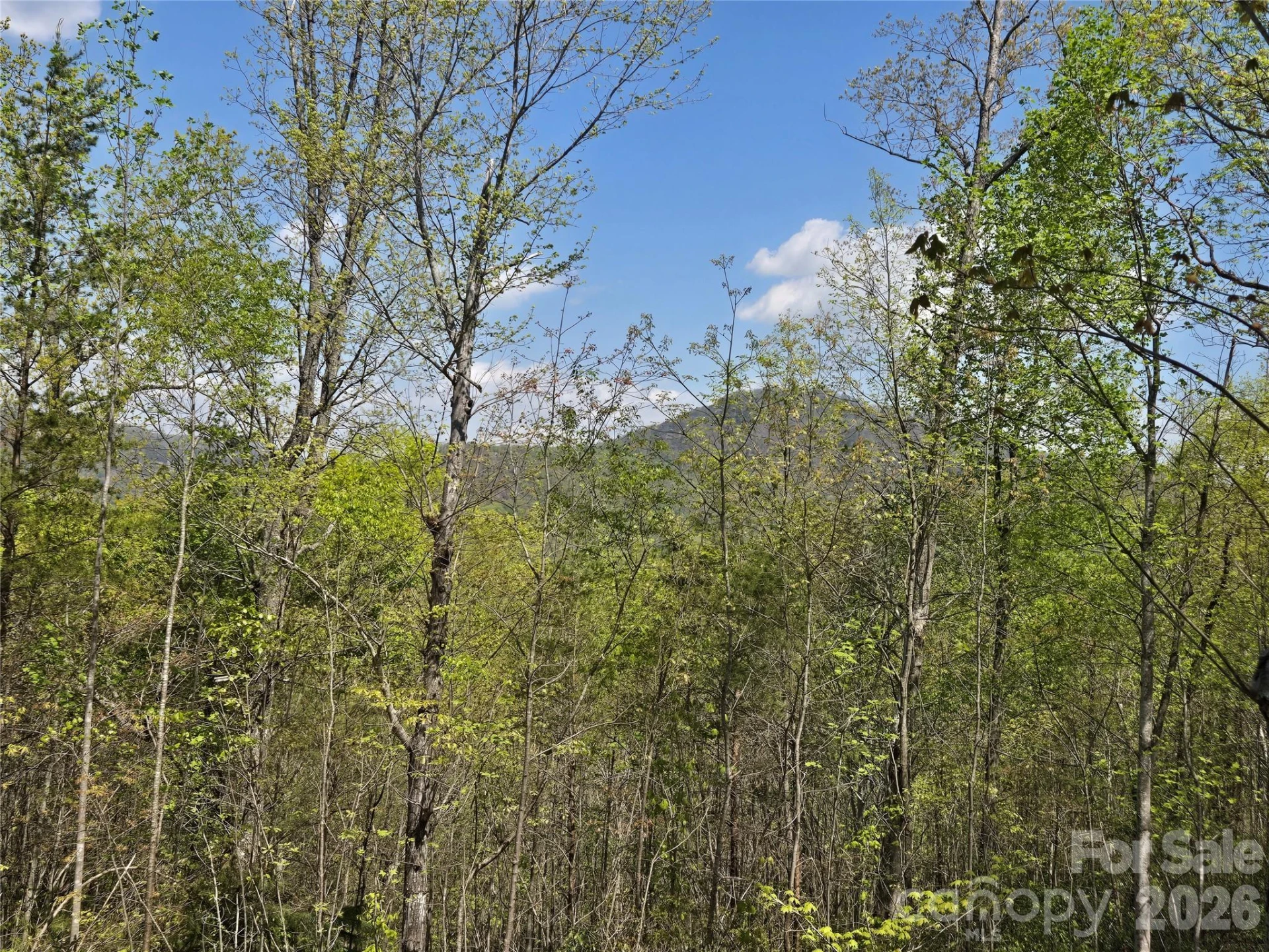 Lot 34 High Rock Ridge - Photo 9