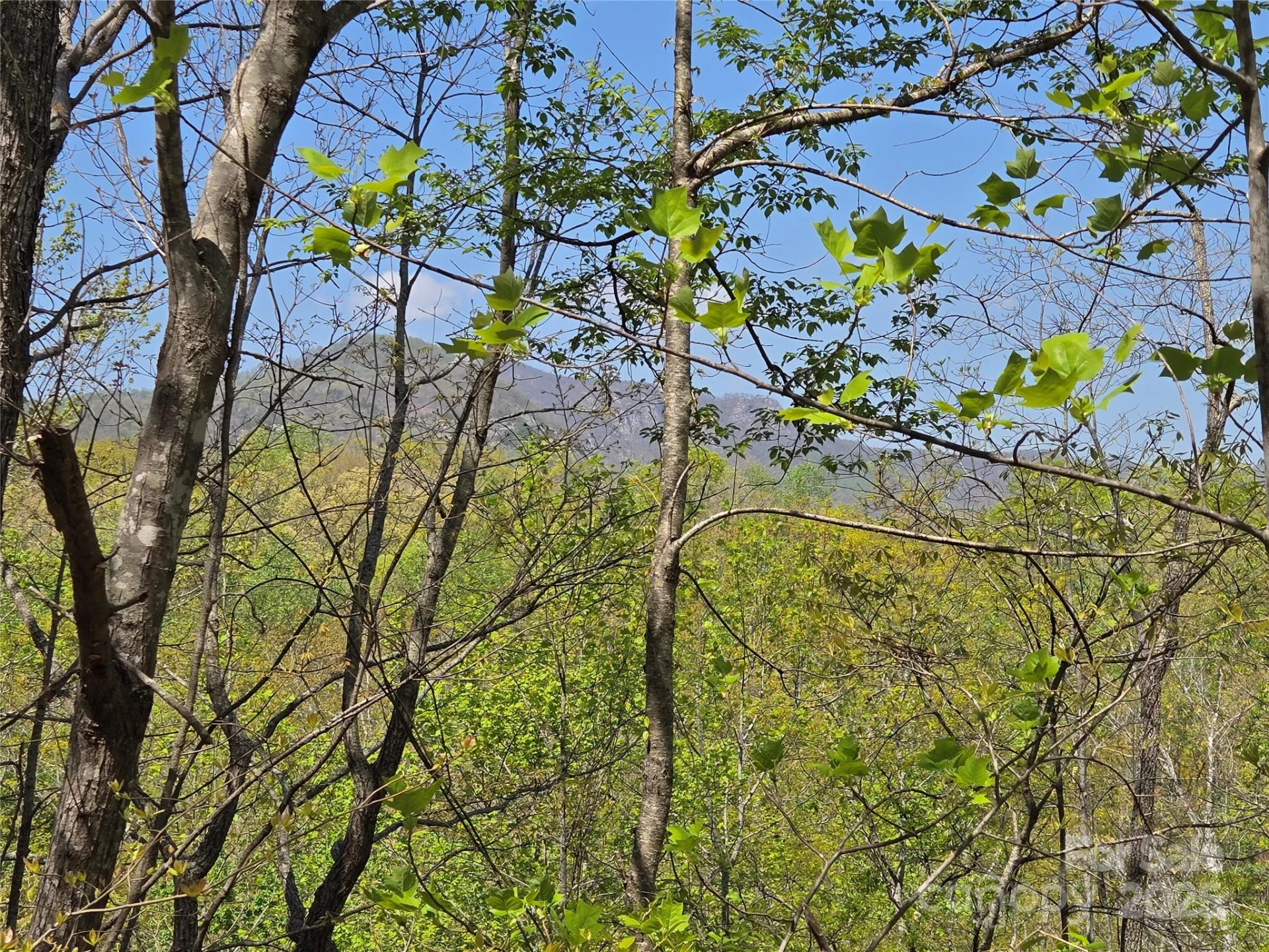 Lot 35 High Rock Ridge - Photo 11