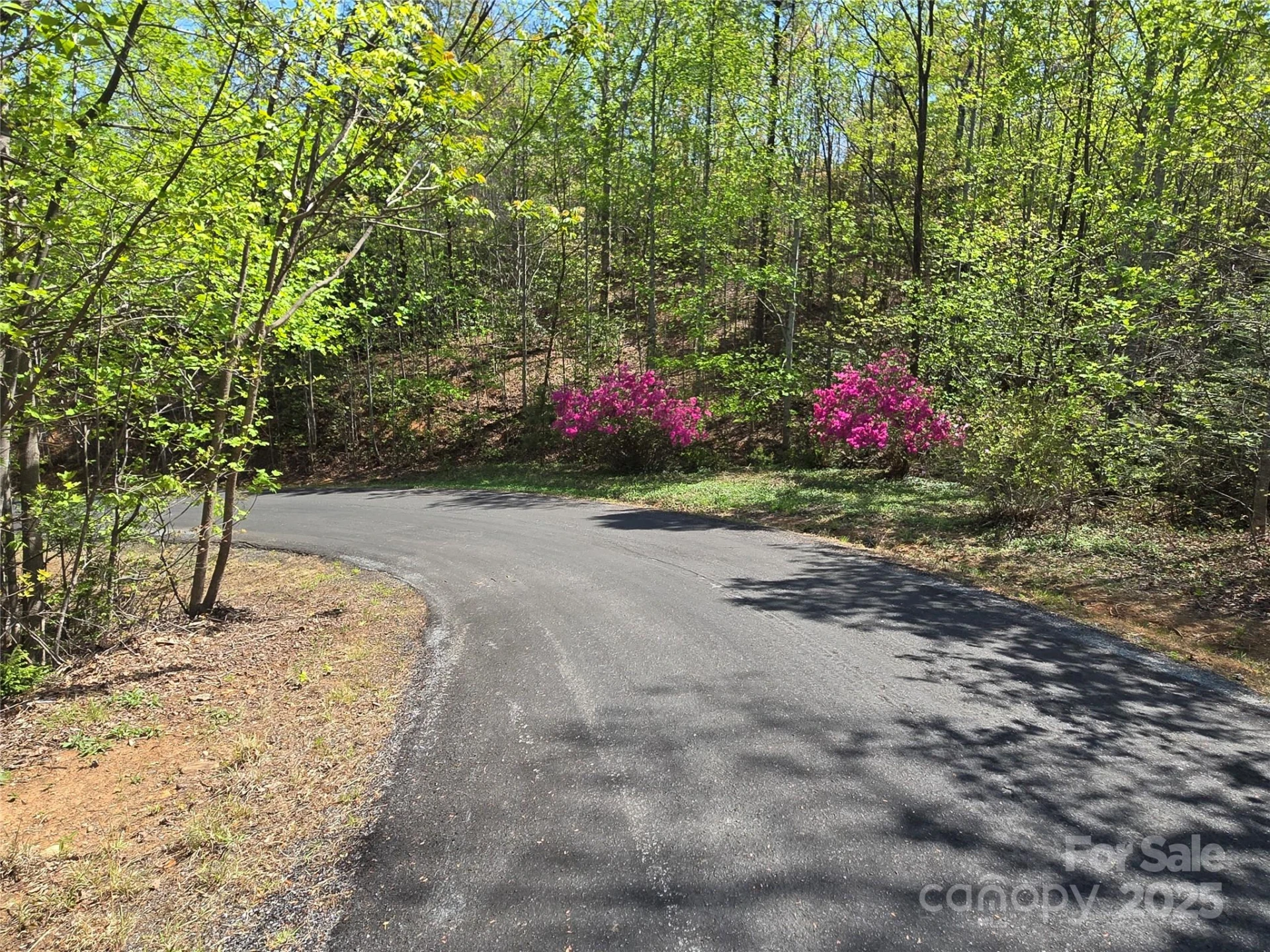 Lot 35 High Rock Ridge - Photo 6