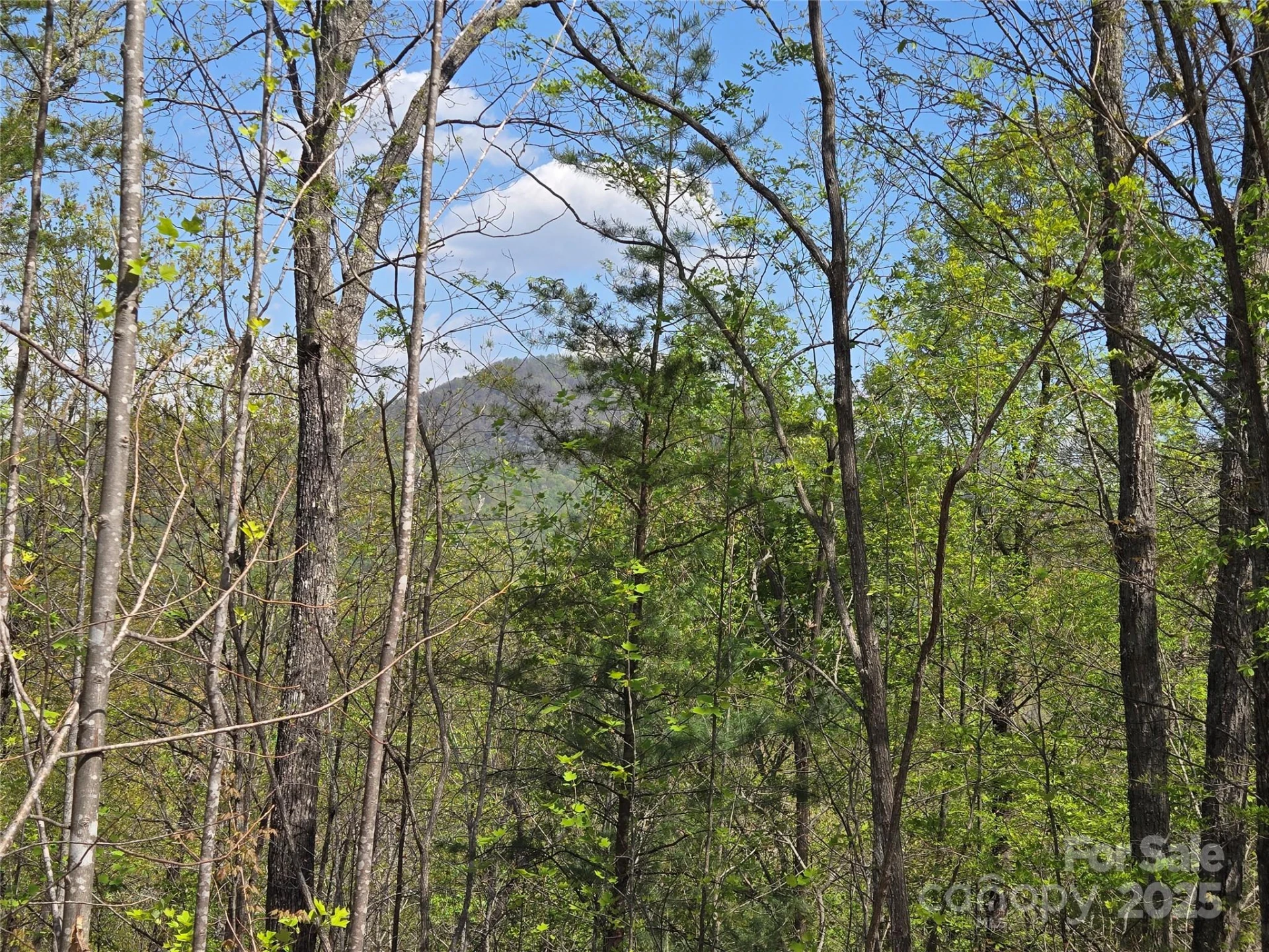 Lot 35 High Rock Ridge - Photo 7