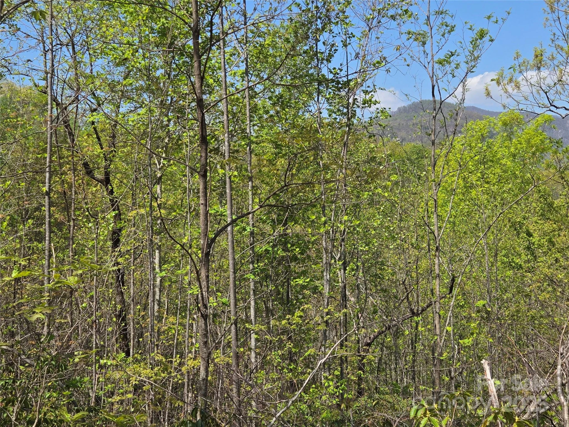 Lot 35 High Rock Ridge - Photo 8
