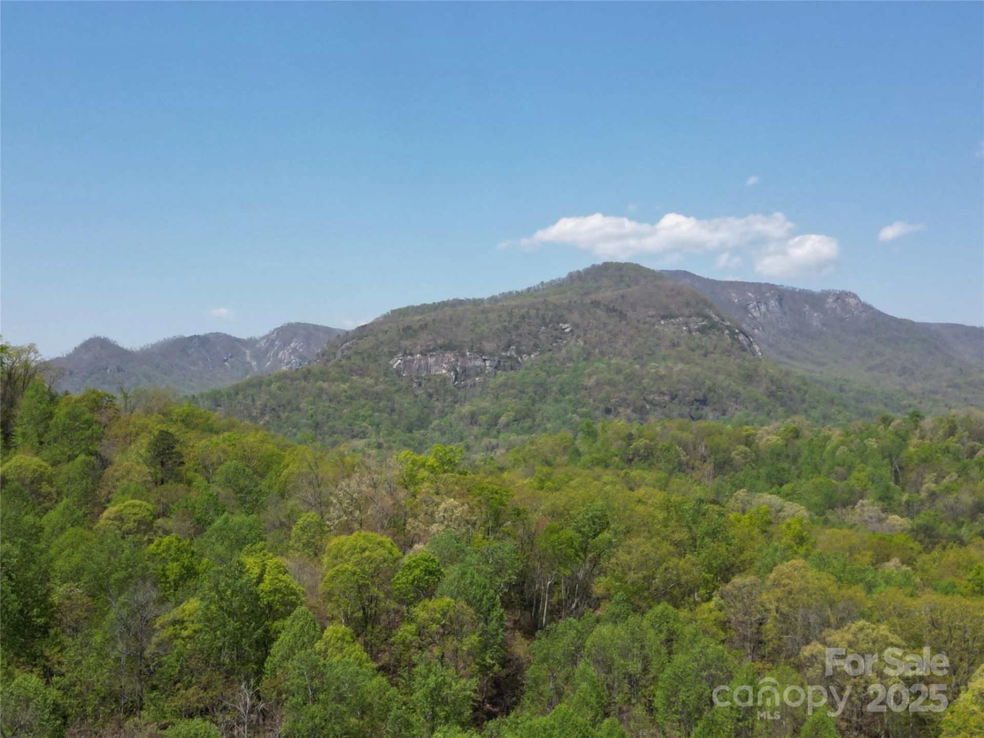 Lot 35 High Rock Ridge - Photo 10