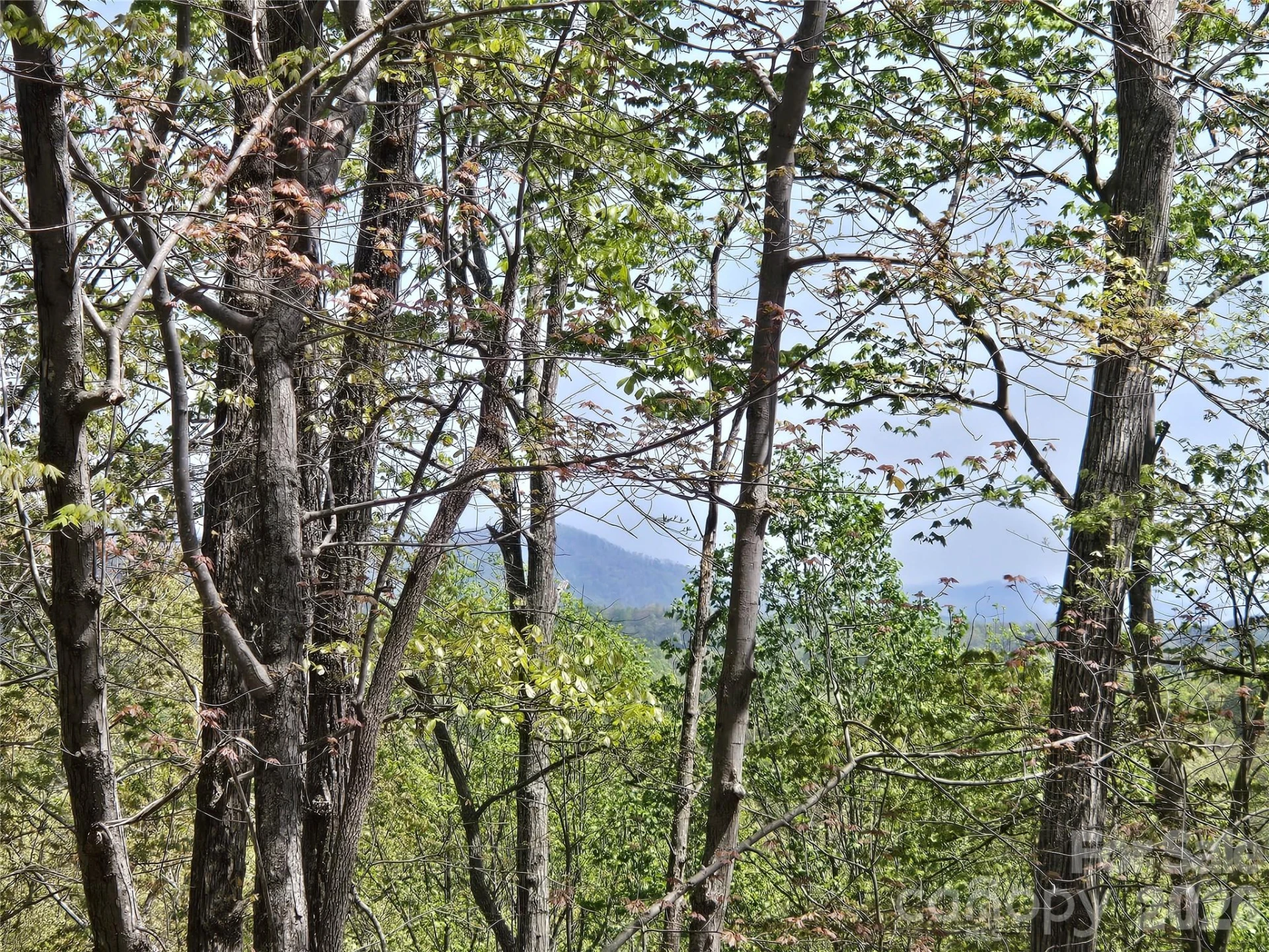 Lot 36 Turkey Fall Lane - Photo 4