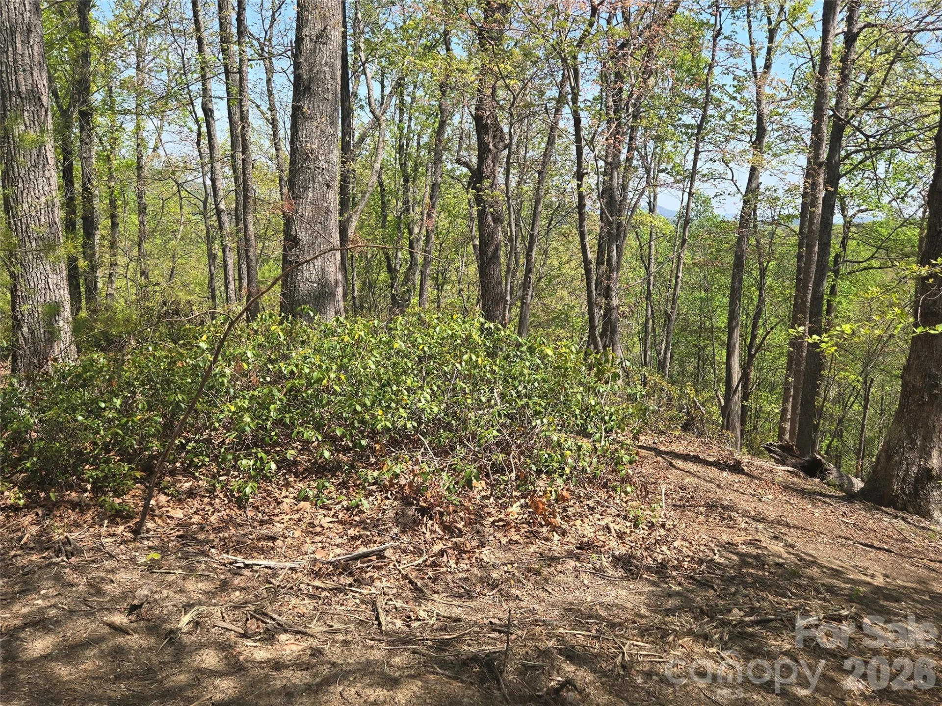 Lot 36 Turkey Fall Lane - Photo 6