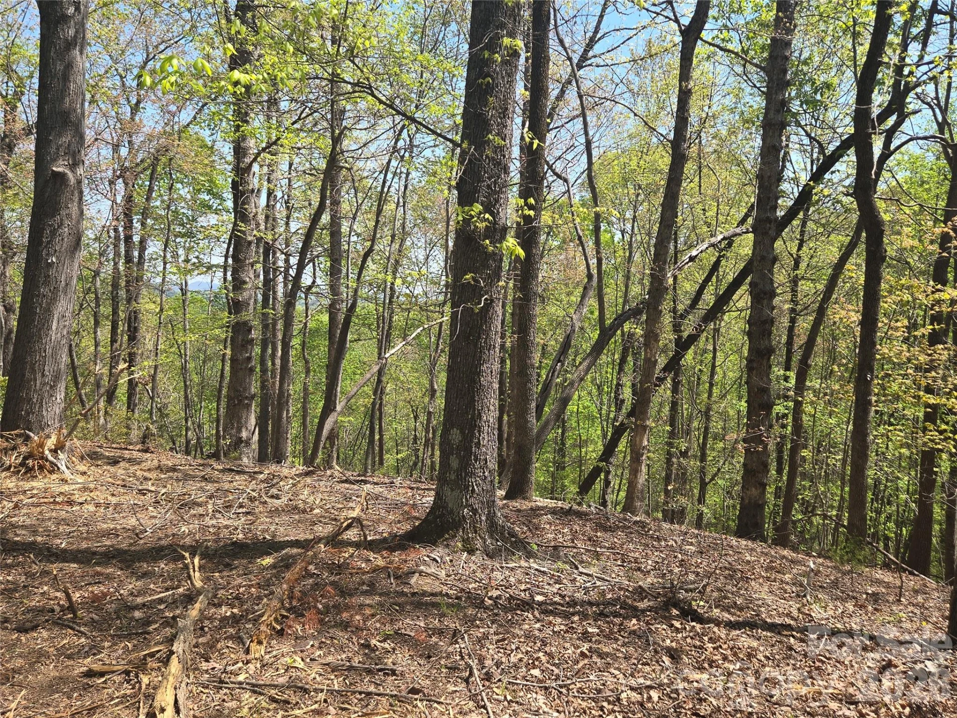 Lot 36 Turkey Fall Lane - Photo 7
