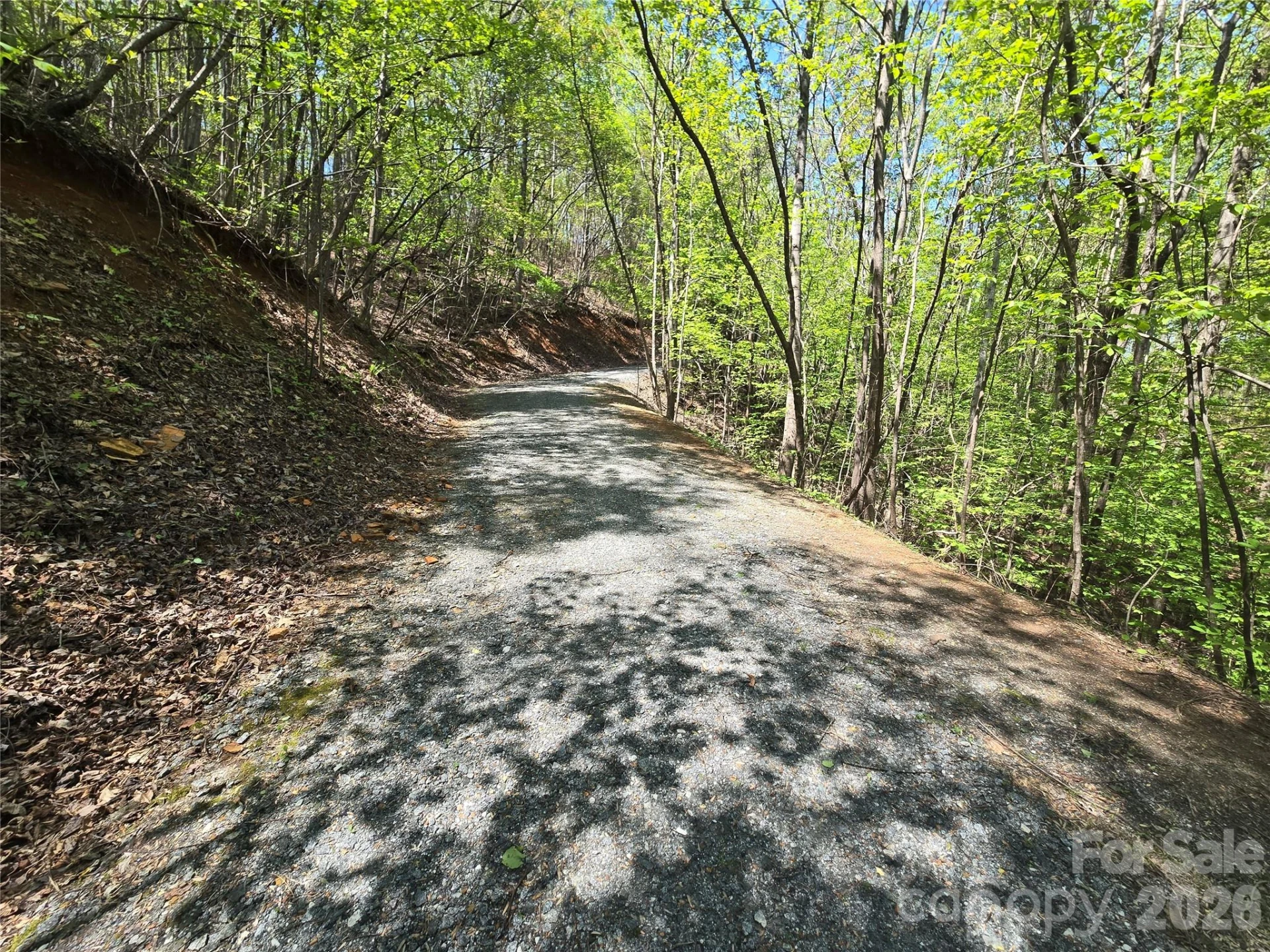Lot 36 Turkey Fall Lane - Photo 10