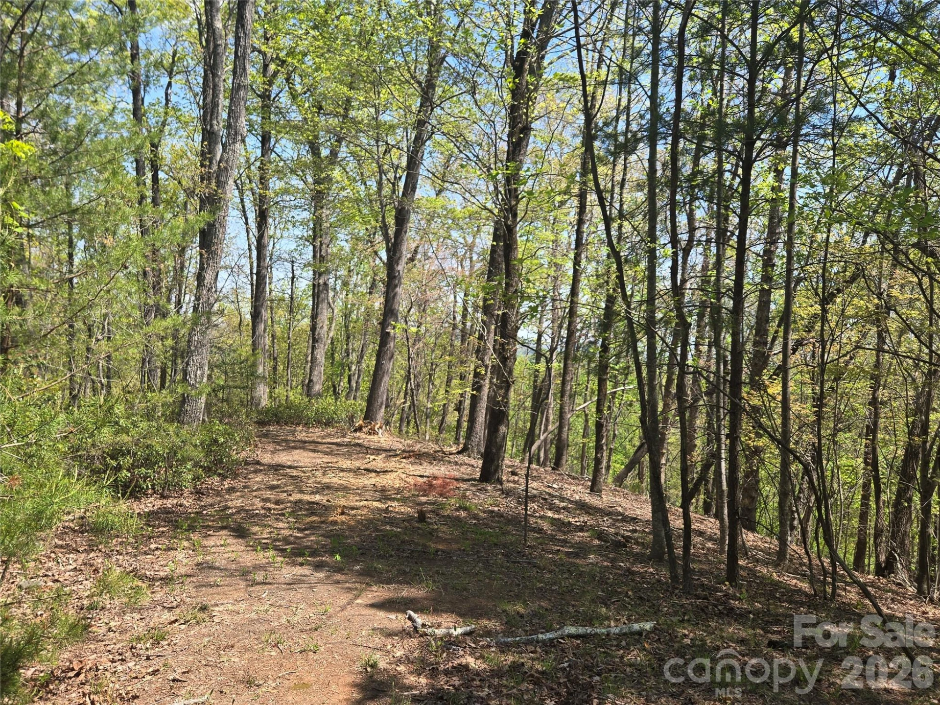 Lot 36 Turkey Fall Lane - Photo 11